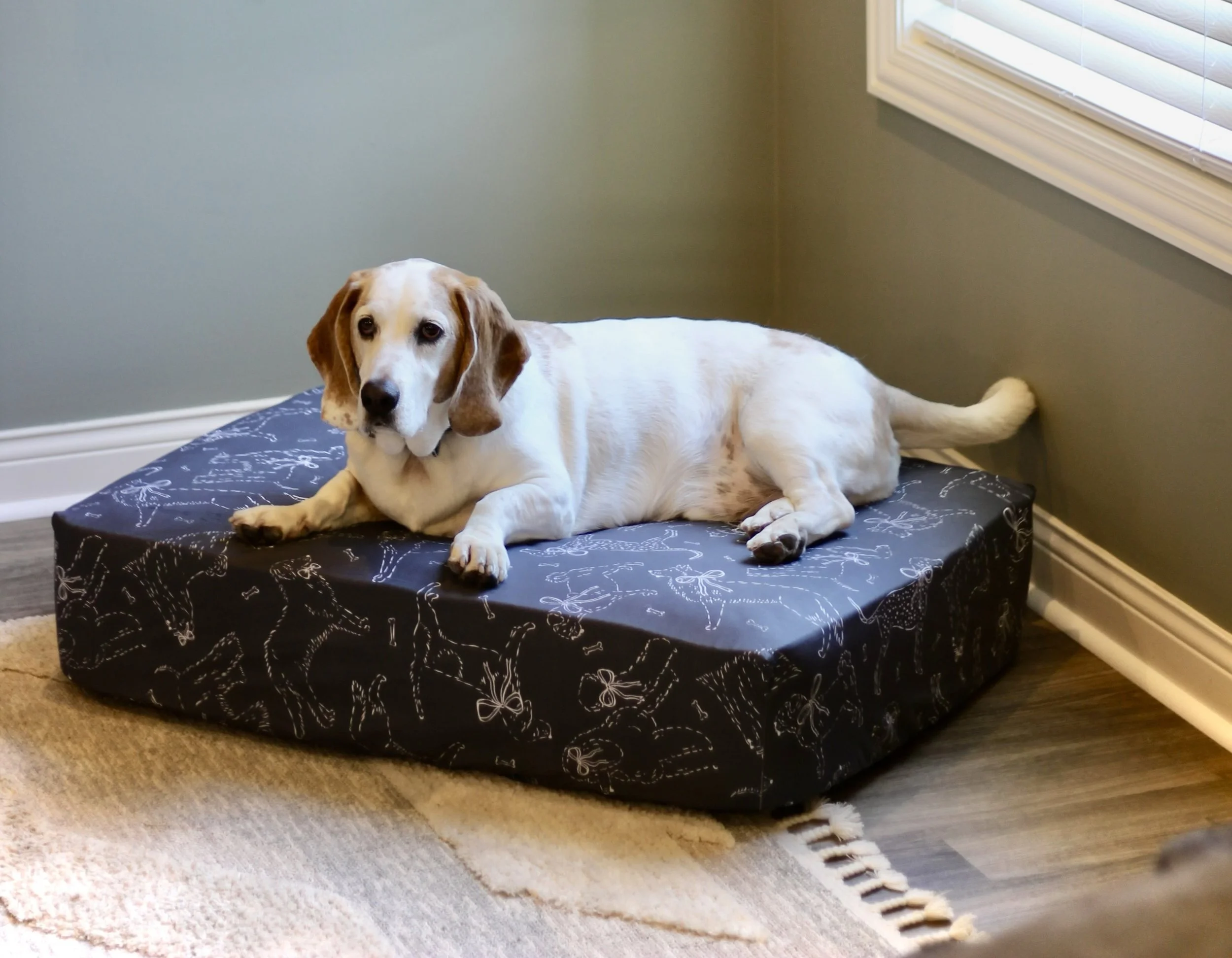 Dogs with Bows - Dark Gray