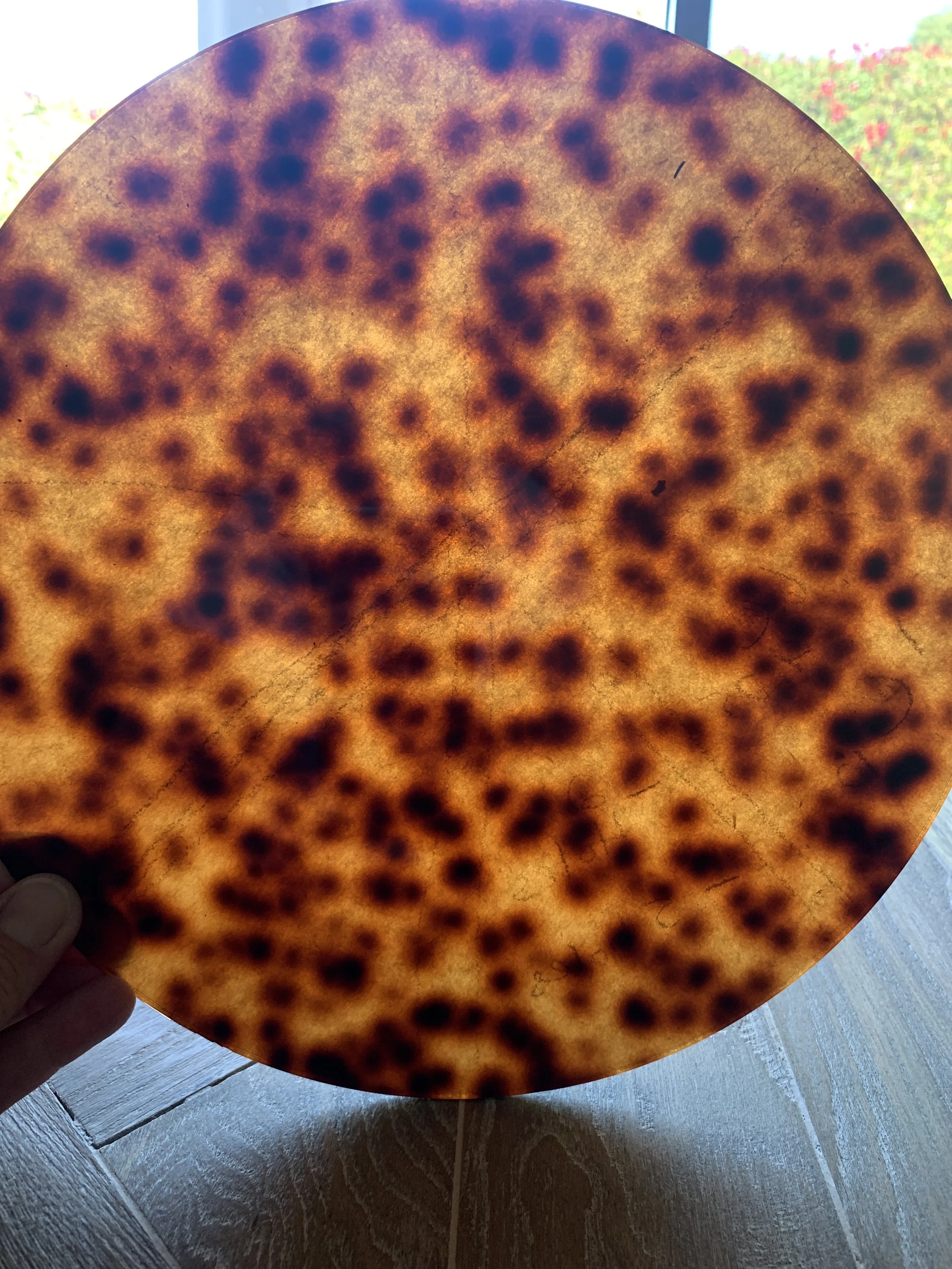 Modern Mobile, Hanging Sculpture, Spinner, Tortoise Shell Acrylic