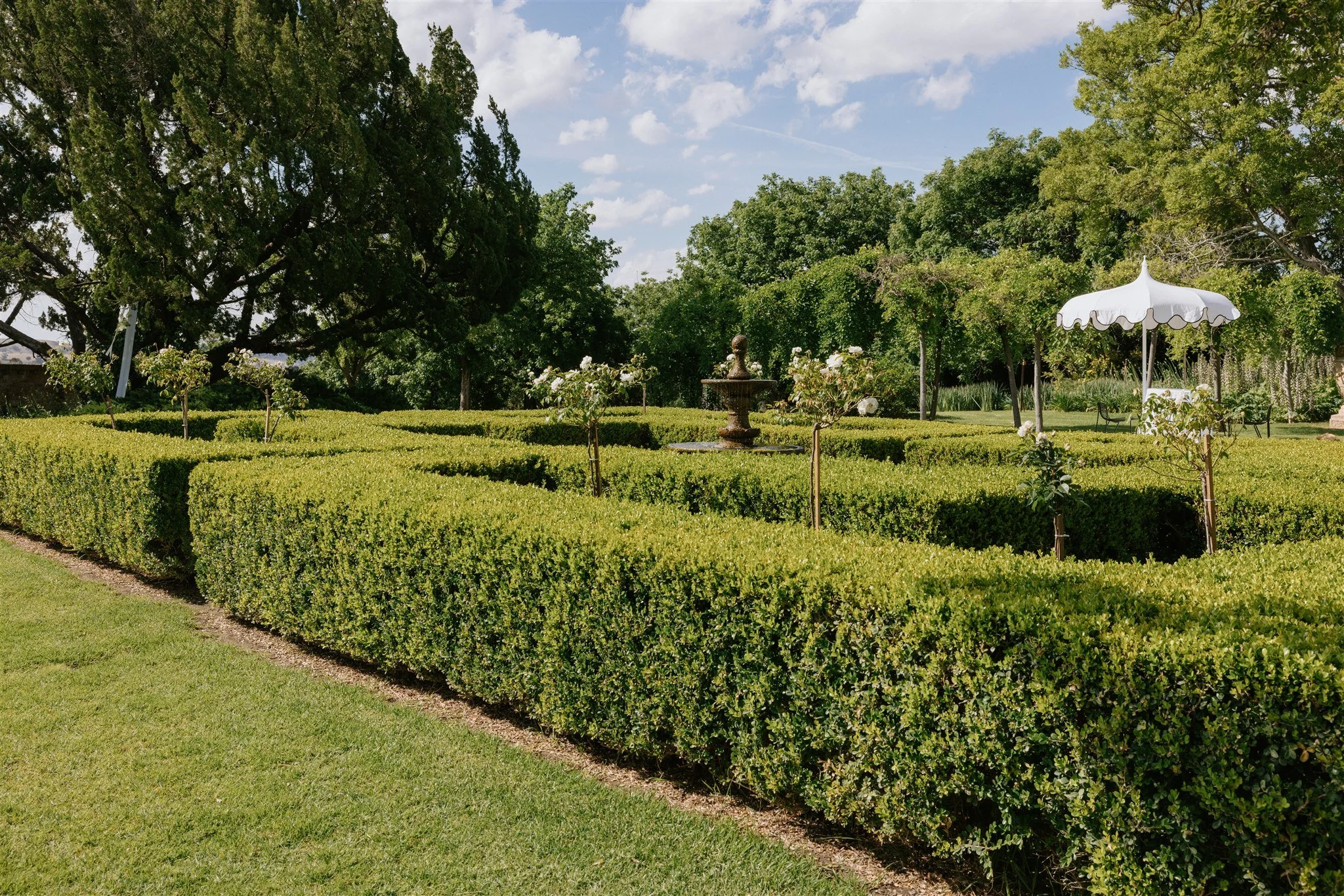 Looking for a spot to celebrate your small intimate wedding or elopement? We have just the right spot for you with a garden that feels like a fairytale. Enquire now about packages 📣🌺

#puttabuccahouse #puttabuccahouseevents #puttabuccahousemudgee #