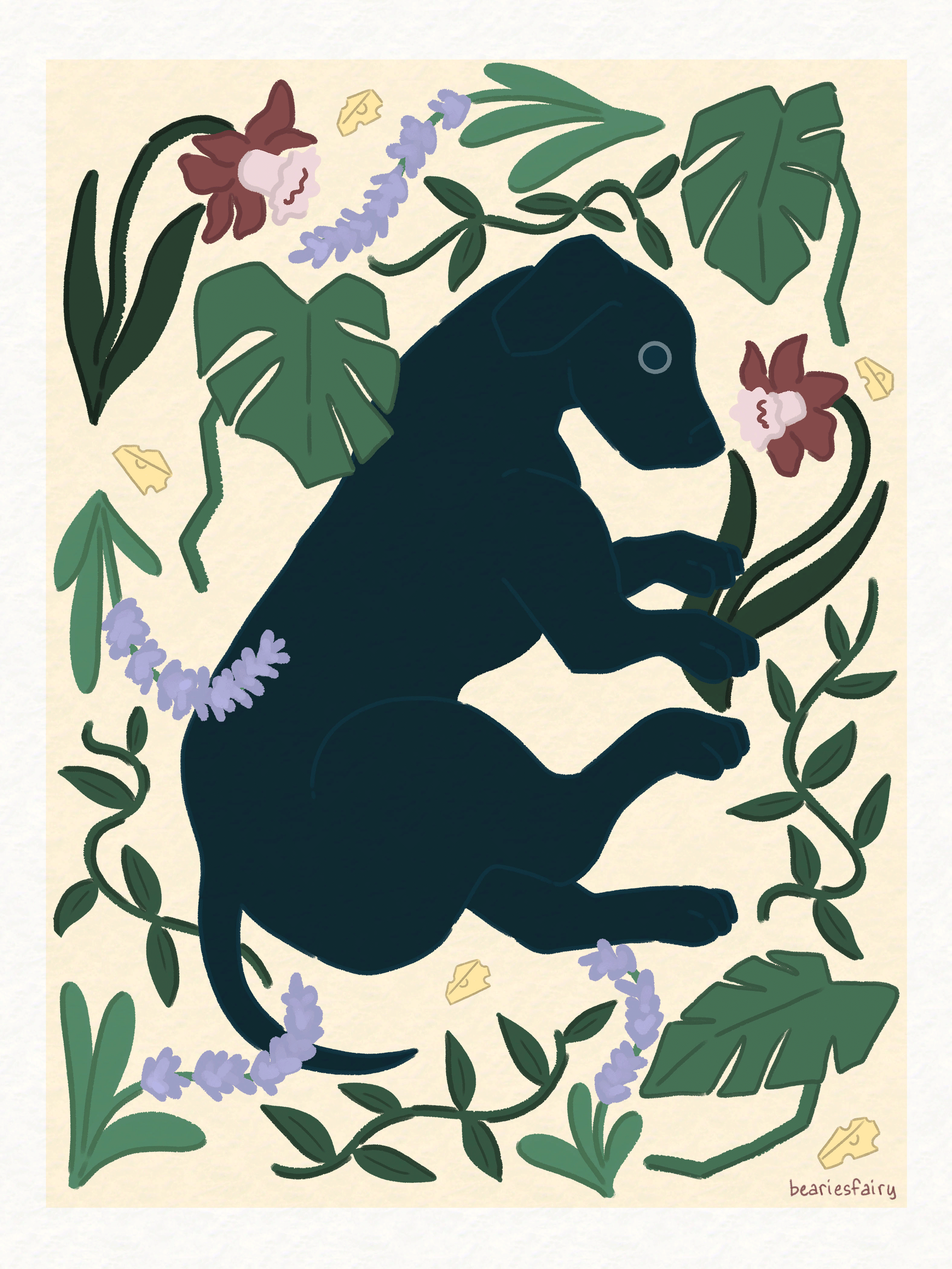 Cheese the Dog | Lydia Traverso