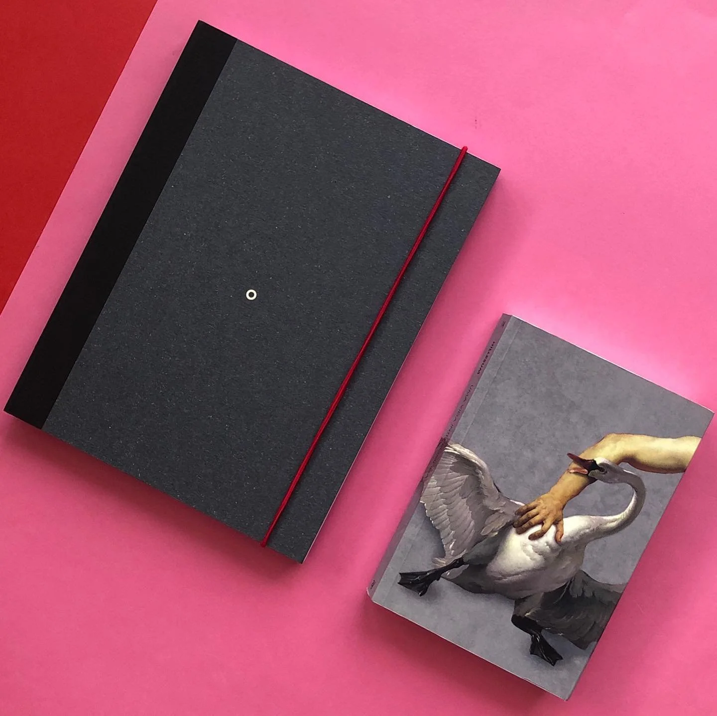 Voc&ecirc;s j&aacute; viram essa gracinha no site? 

O Kit Biografia cont&eacute;m:
1x Livro das A&ccedil;&otilde;es &lsquo;21
1x Uma Vida Interrompida por Etty Hillesum 

Como vcs sabem eu &mdash; a Ana da Anal&oacute;gica &mdash; crio nossos produt