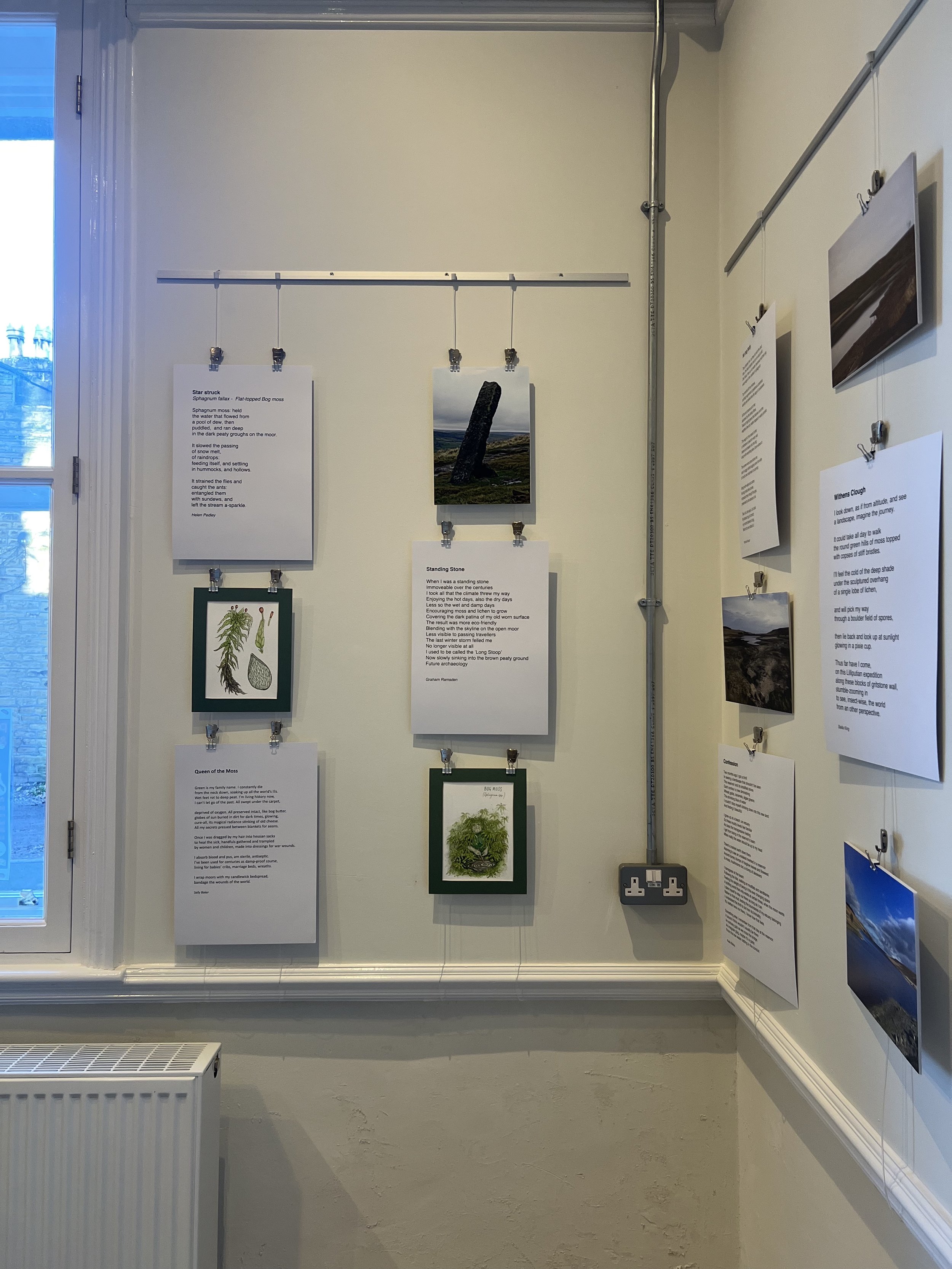 PeatZine exhibition at The Local Motive featuring my illustrations, poetry from Sally Baker's workshop
