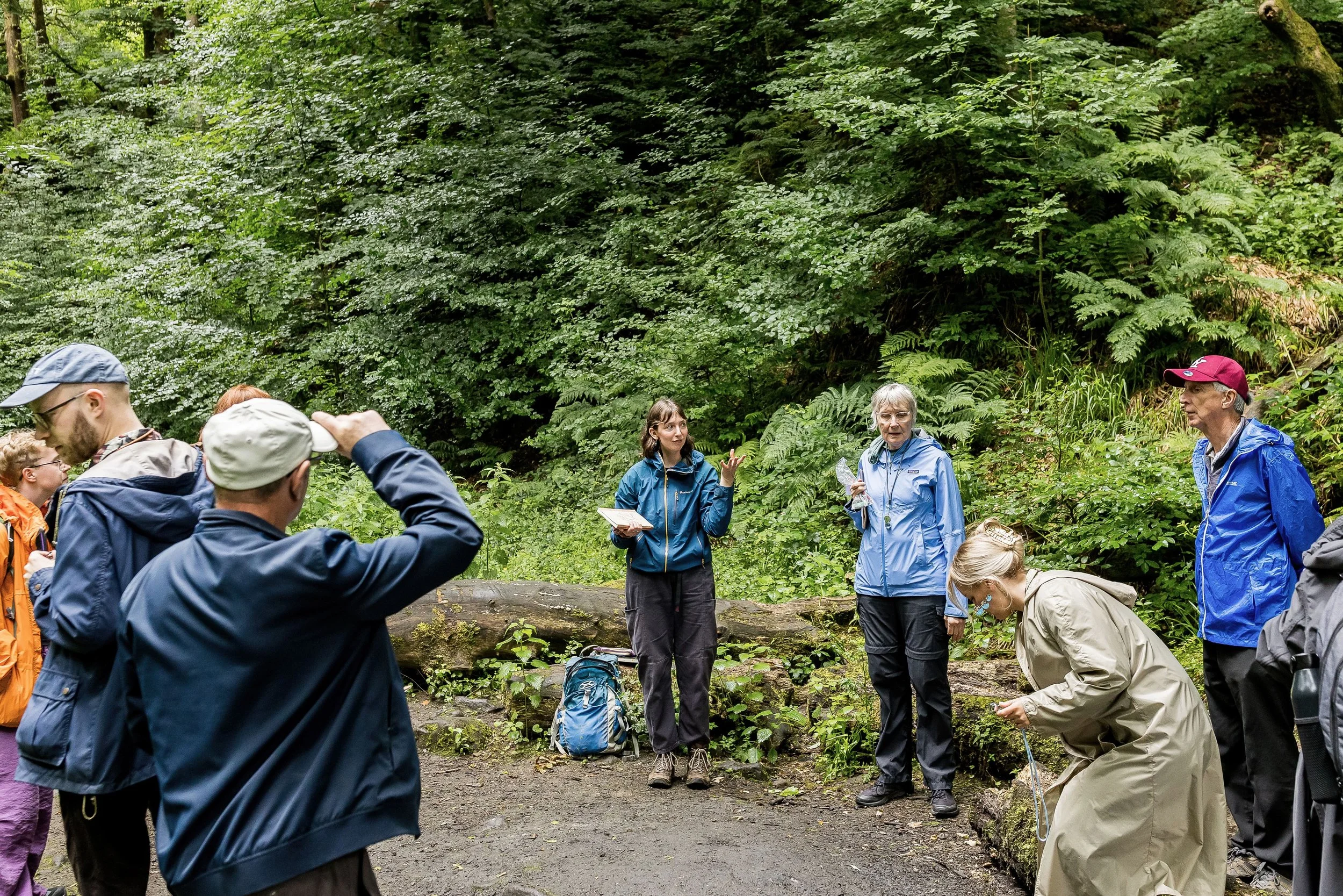 Nature Notebooking in Nutclough Woods, 2026