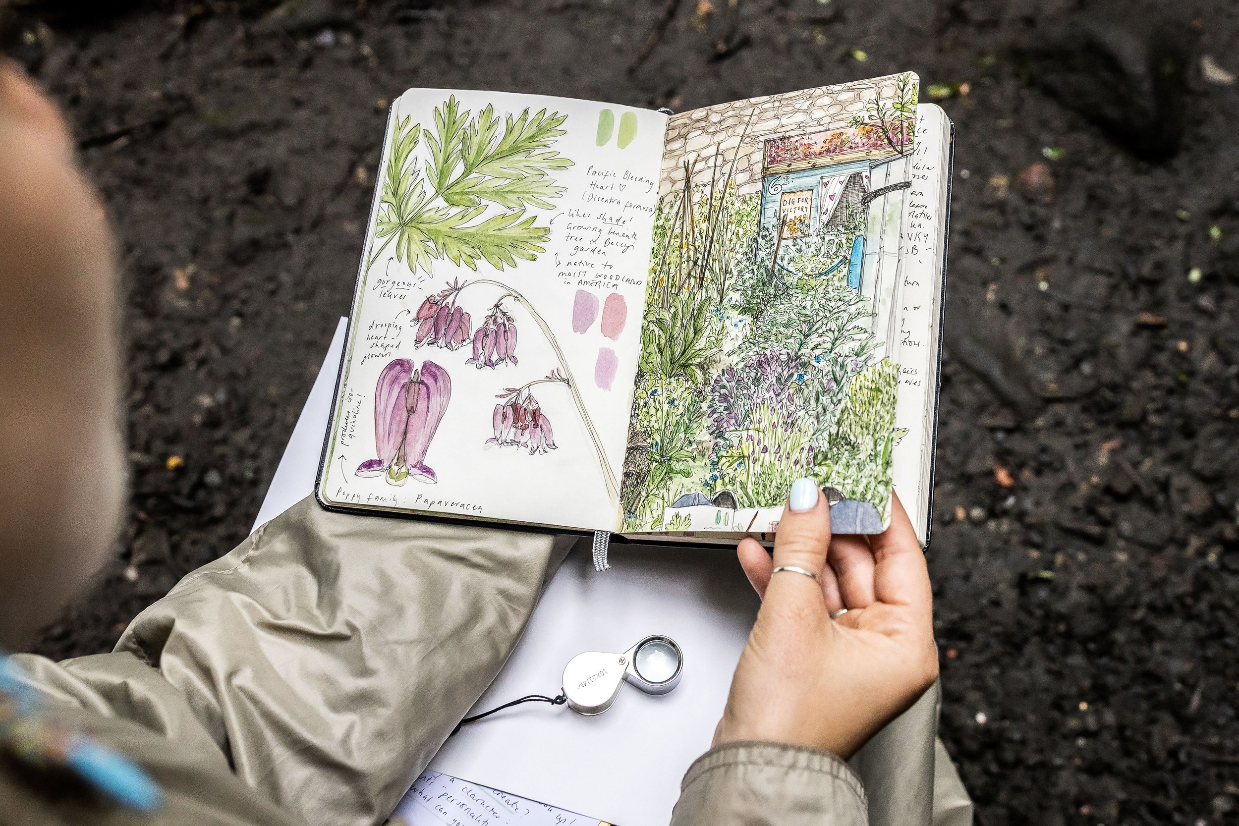My Nature Notebooks