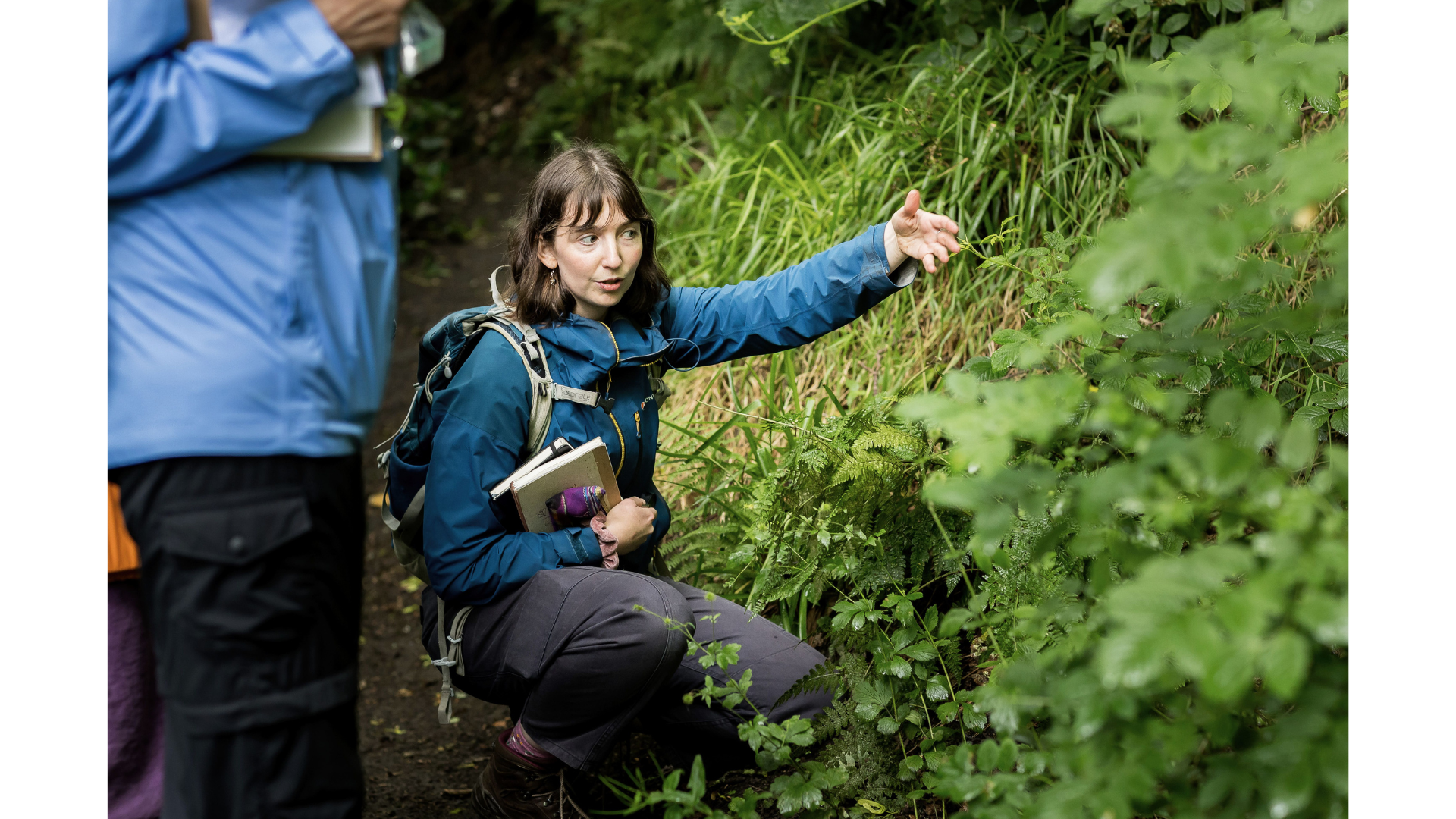 Nature Notebooking (IOU Hostel, Hebden Bridge)