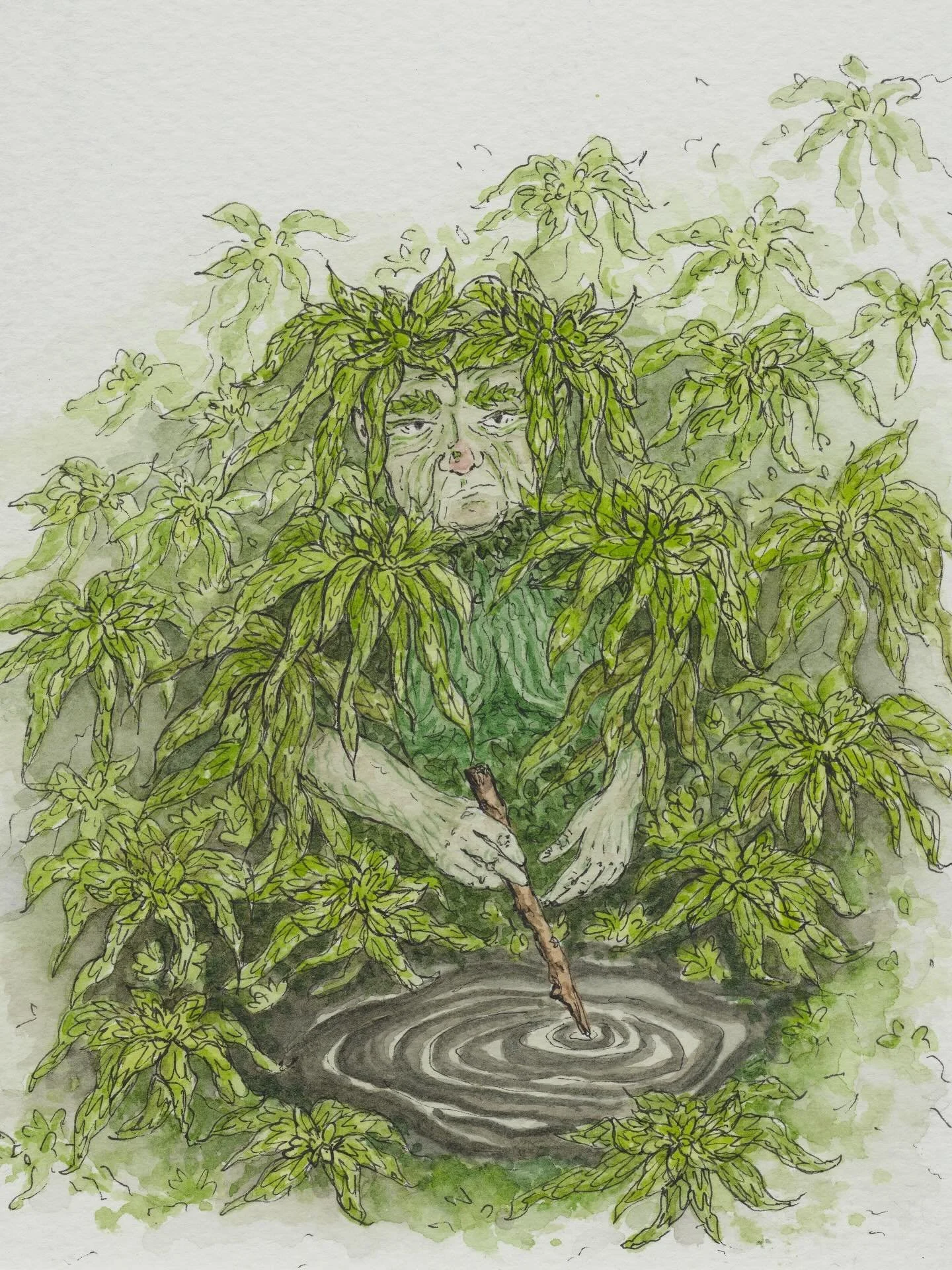 &ldquo;The Bog Beings&rdquo; have emerged from the moors and the moss, and journeyed down from the hills to Gibson Mill in the heart of Hardcastle Crags&hellip;

Here&rsquo;s some snippets of the making of this series, inspired by the moorland plant 