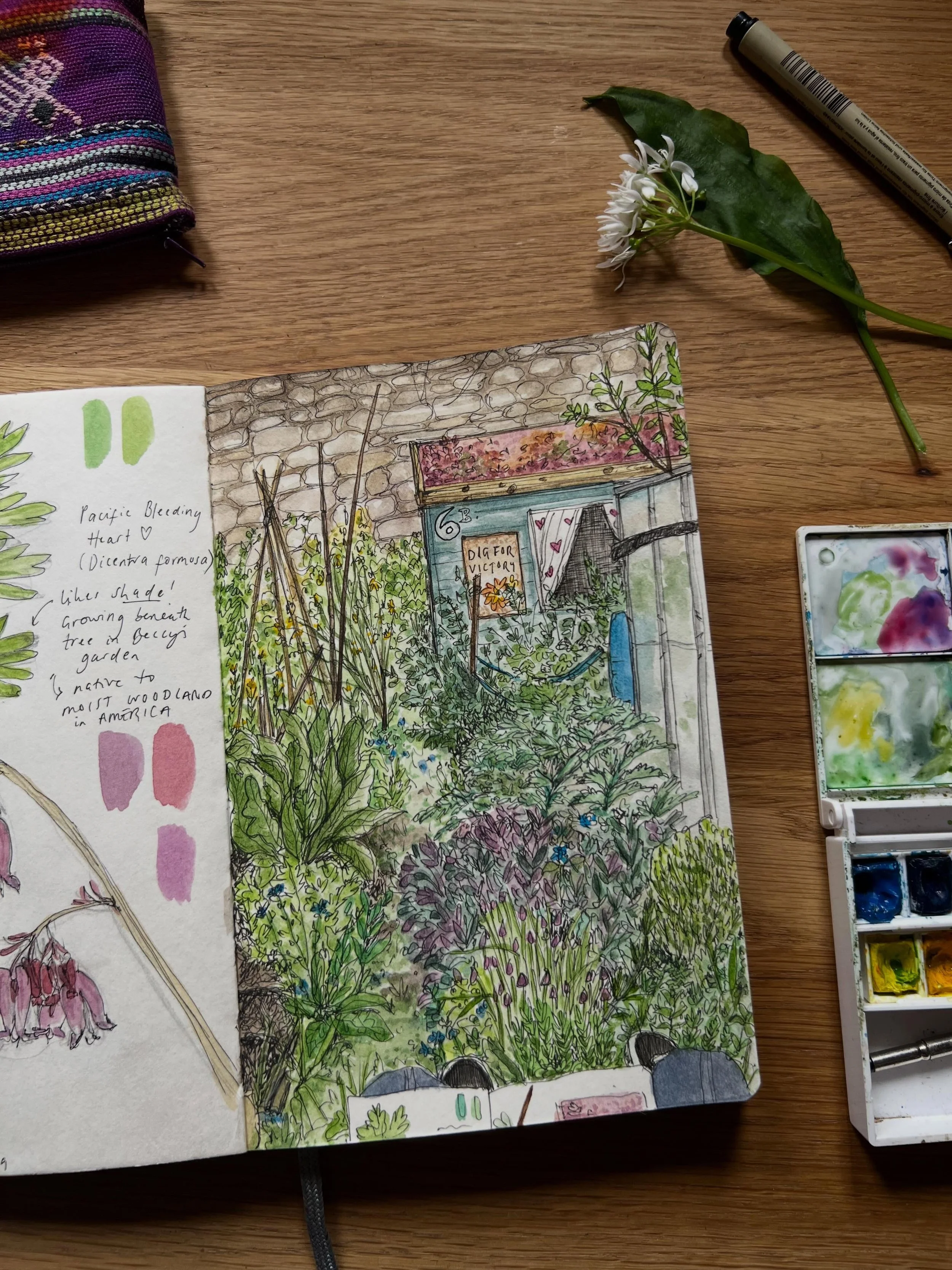 Scenes from the allotment🫜👩🏻&zwj;🌾🌱🪴🌿🌸

Plants, gardens, and painting them is good for you, try it!💚

#digforvictory #allotmentgarden #gardenlove #iloveplants #plantart
