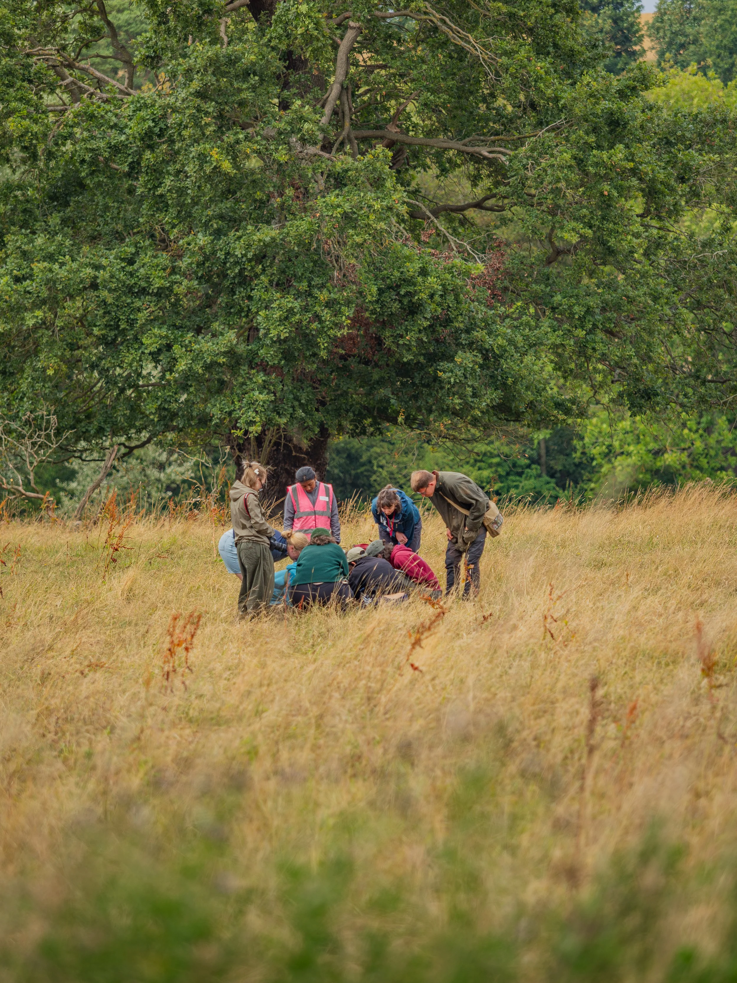 Copy of Castle howard pics set 1-89.jpg