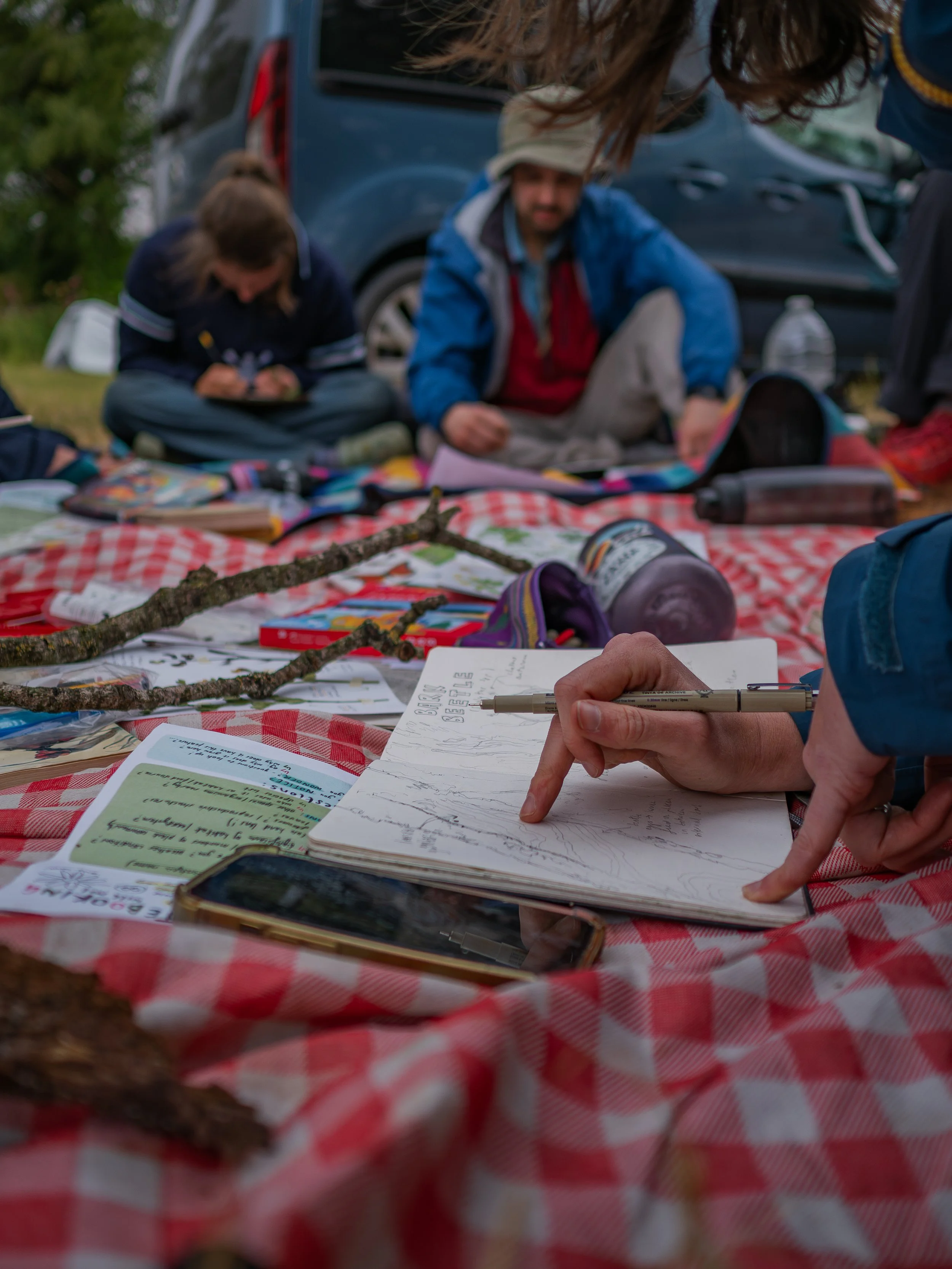 Field notes: 01