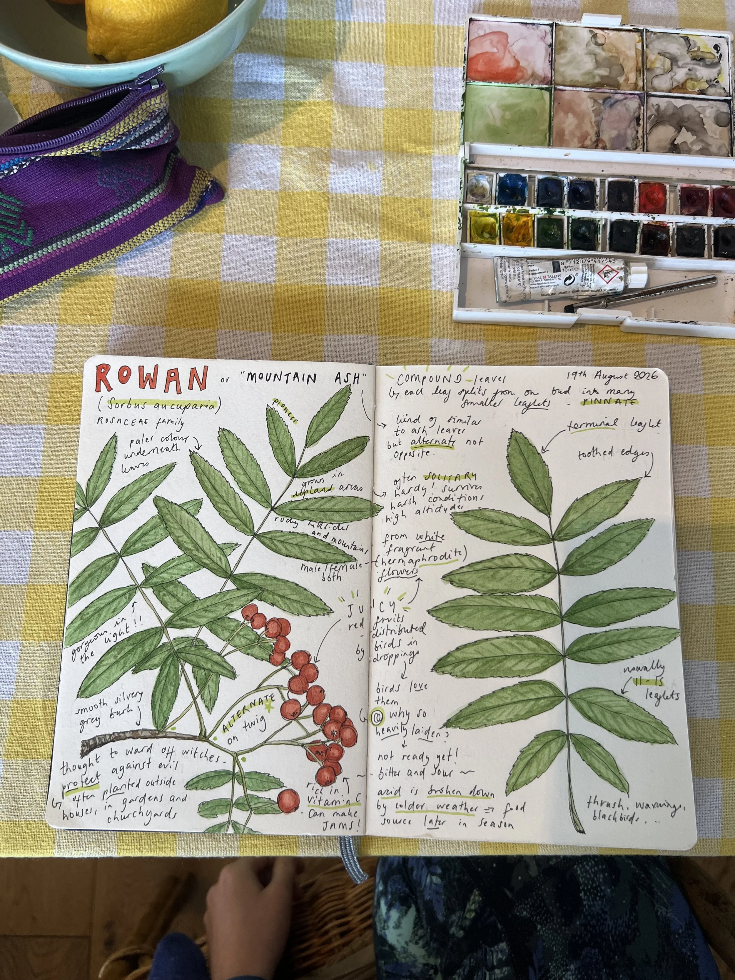 Field Notes: 02