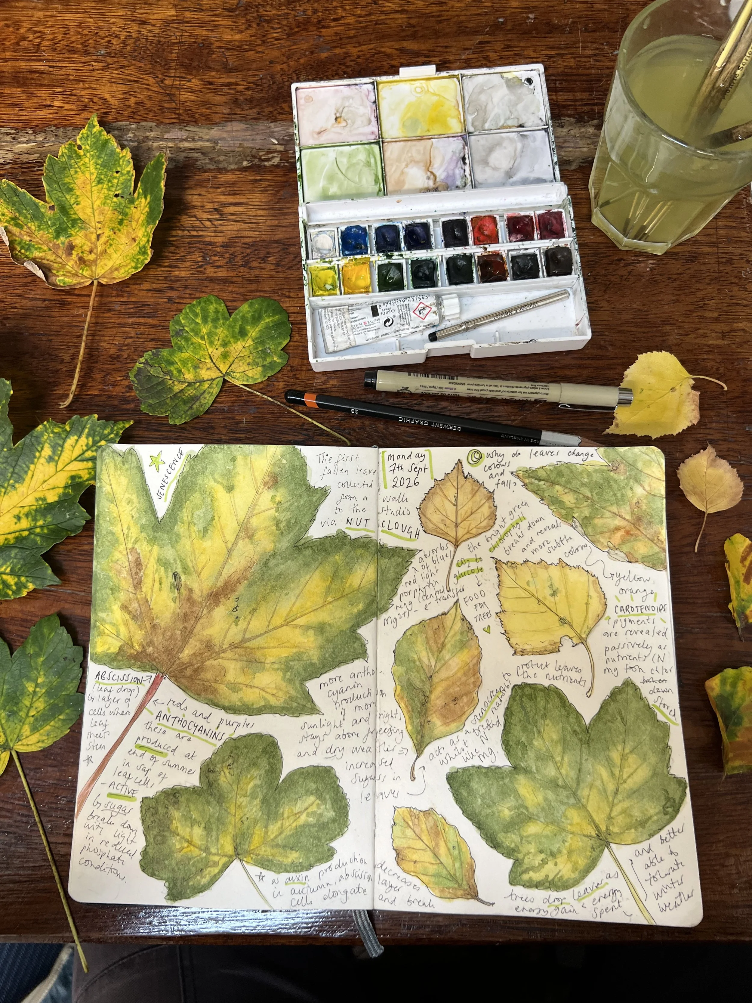Field Notes: 03