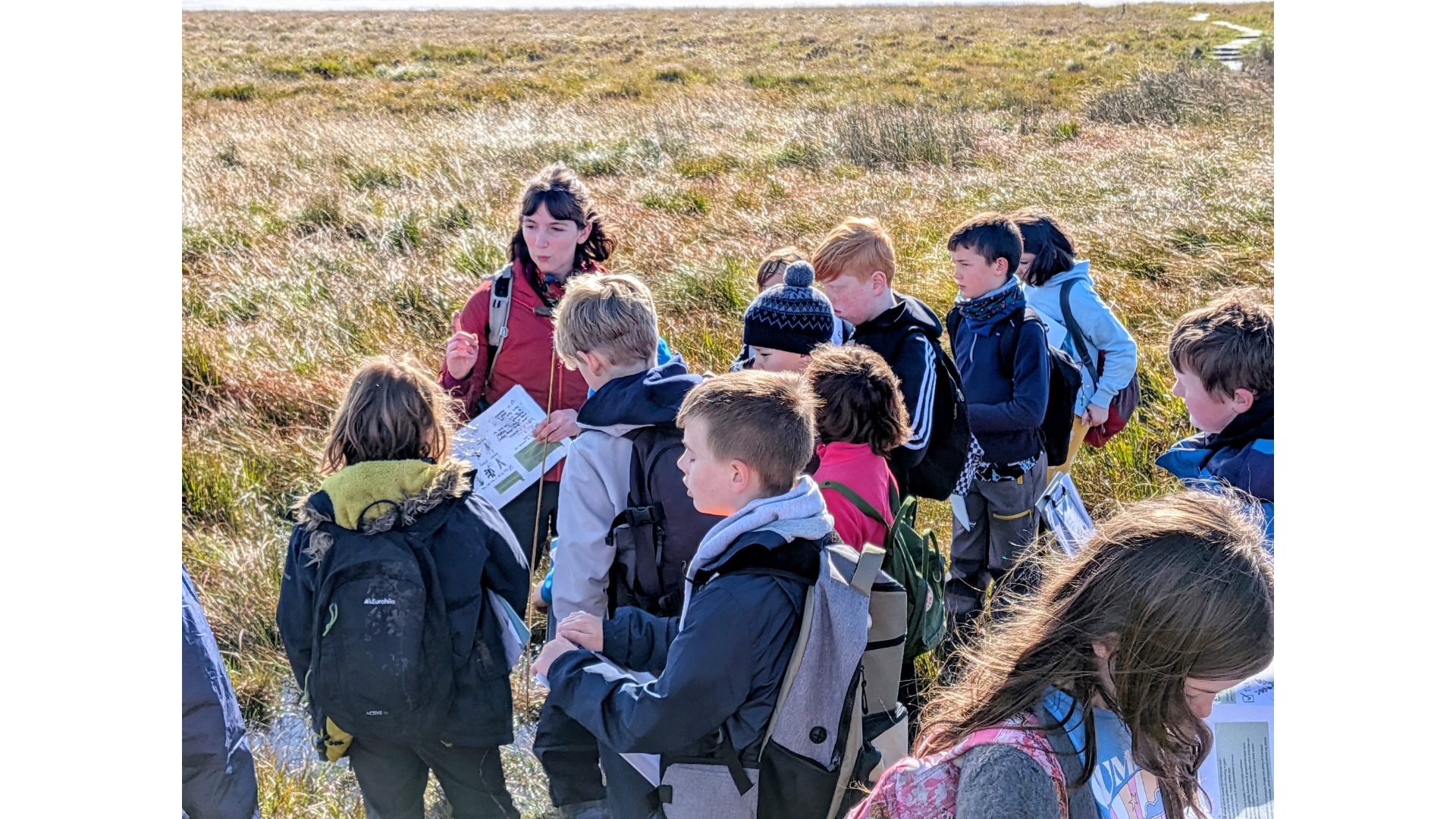 PeatZine Workshops (Mytholmroyd Cubs)