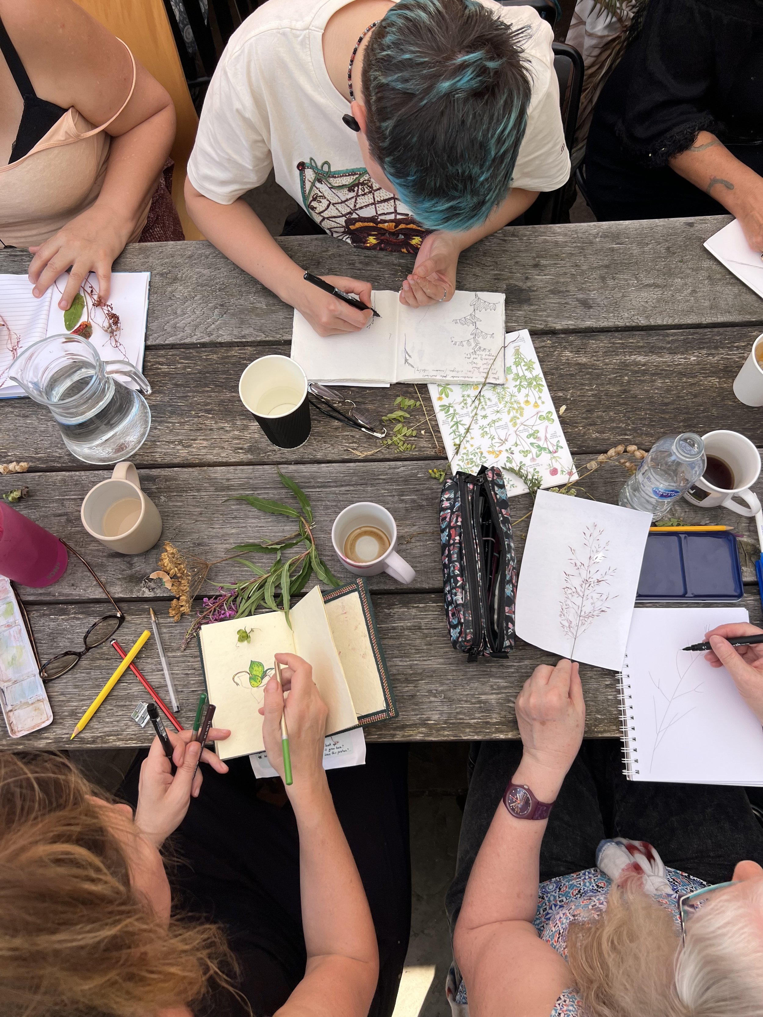 Nature Notebooking - adding watercolours!