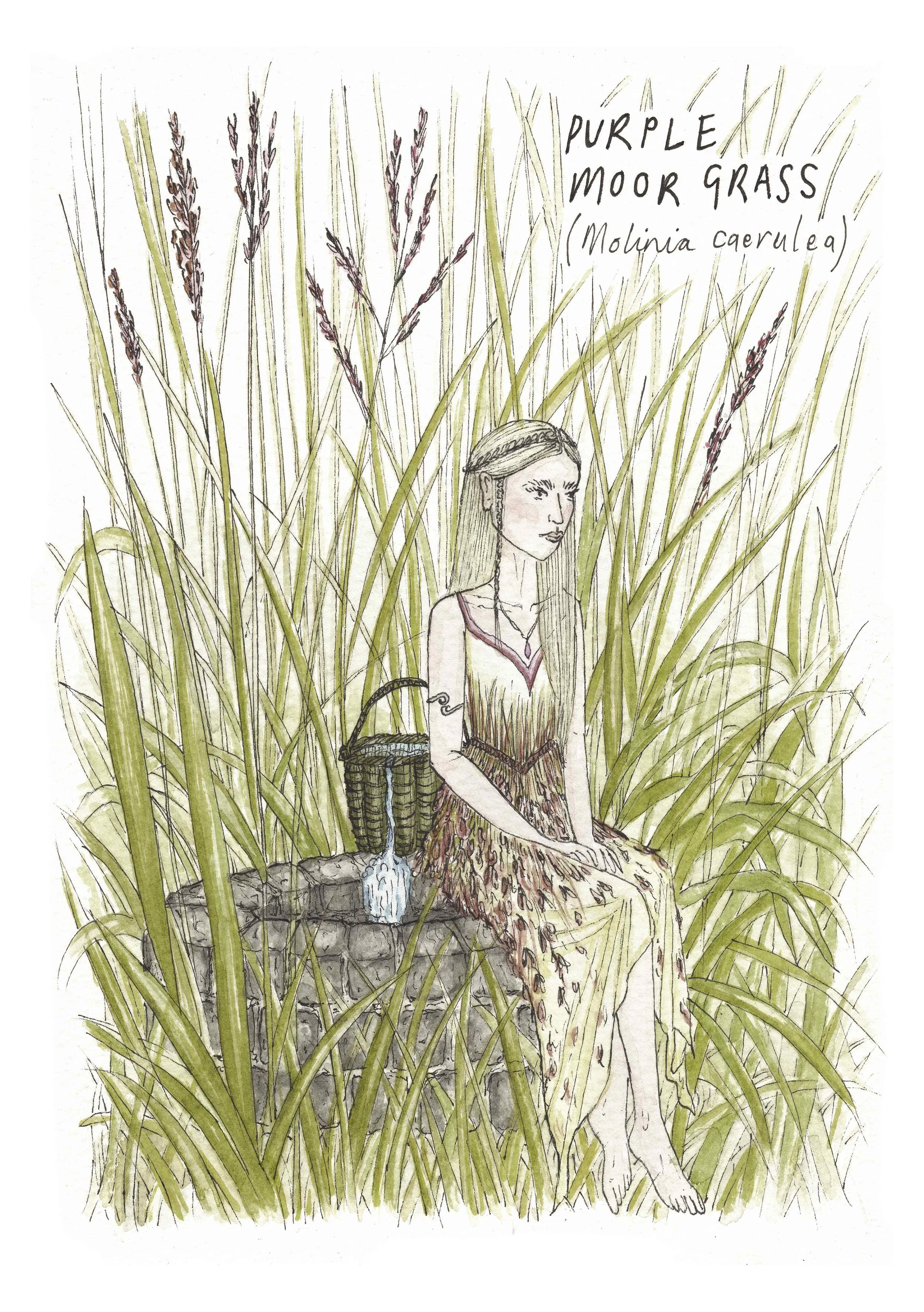 A5 Giclée Print - Purple Moor Grass