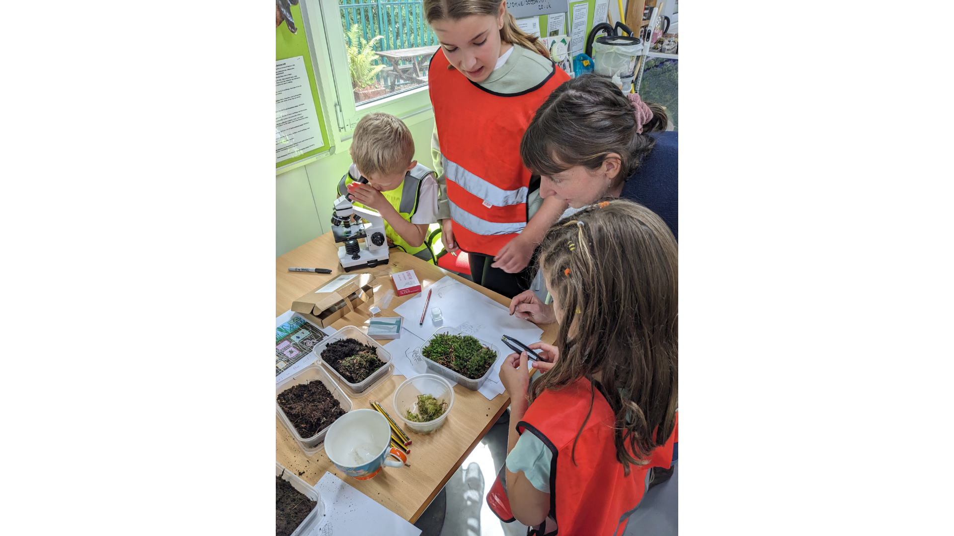 Exploring Cromwell Bottom (Healthy Minds)