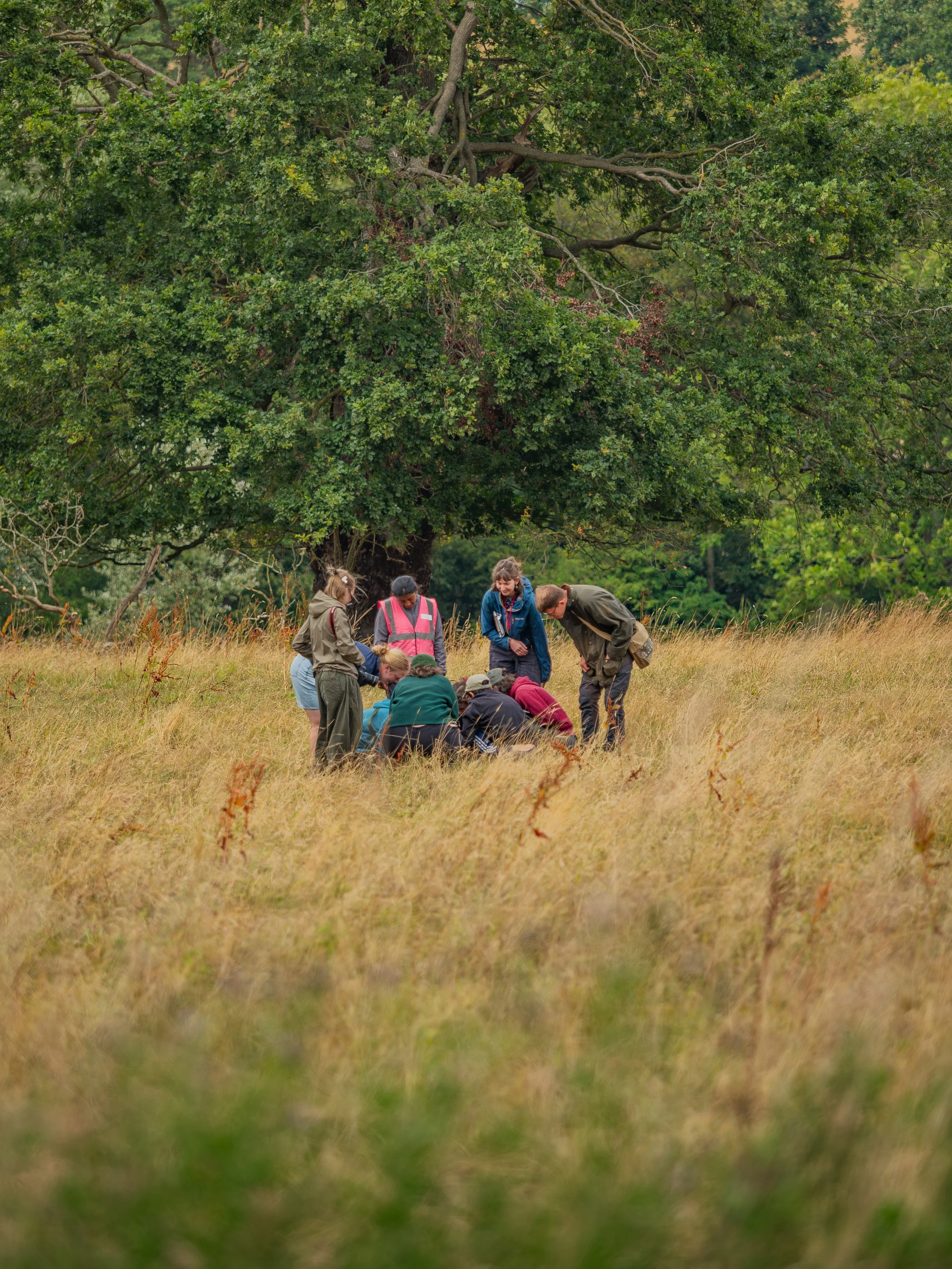 Copy of Castle howard pics set 1-88.jpg