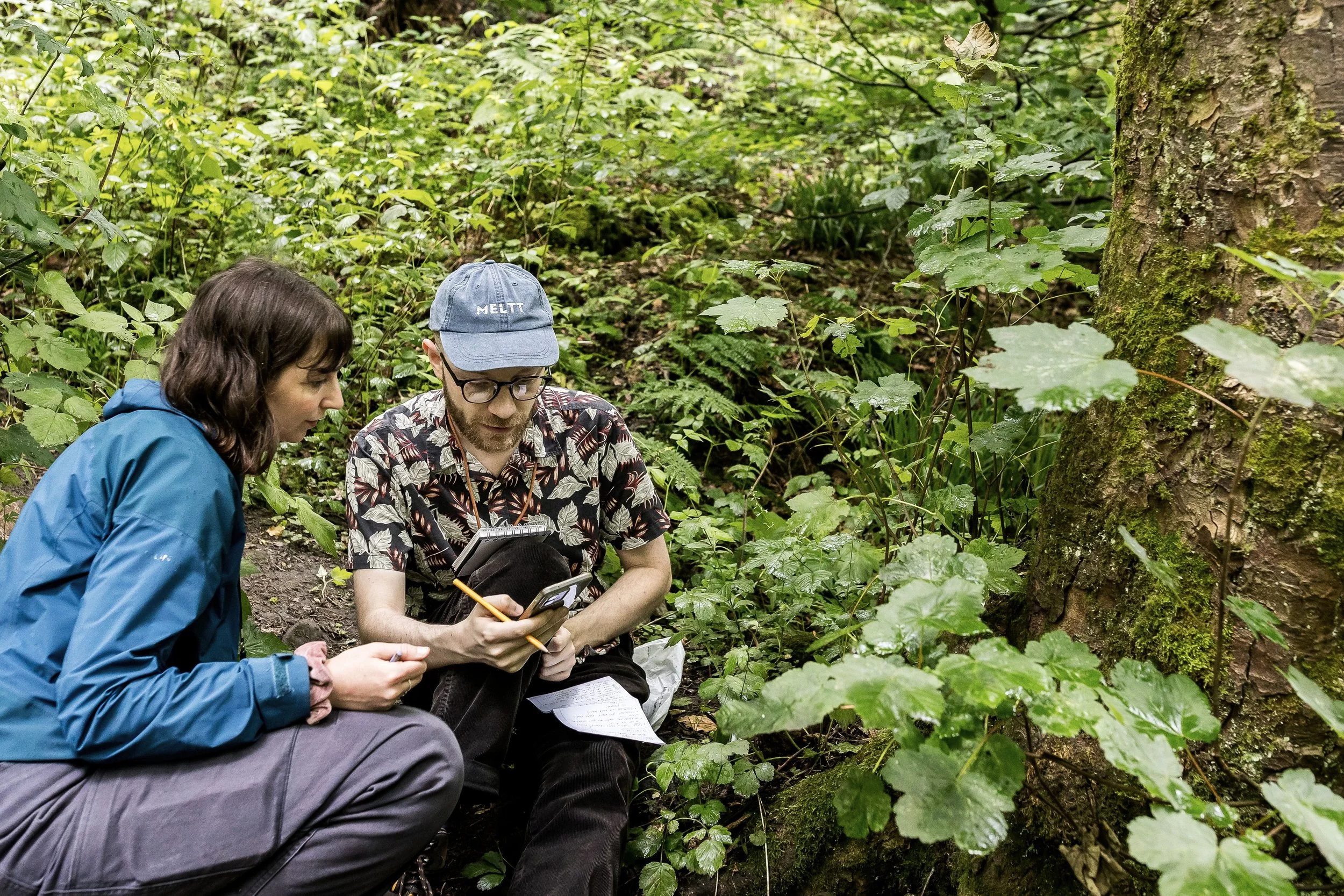Jamie and his Enchanter's Nightshade study