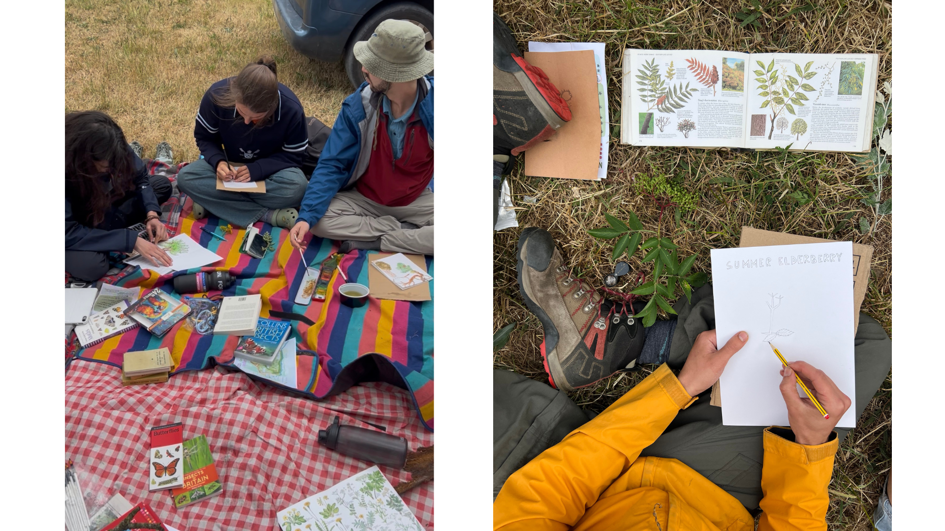 Nature Notebooking (YoungWilders, Castle Howard)