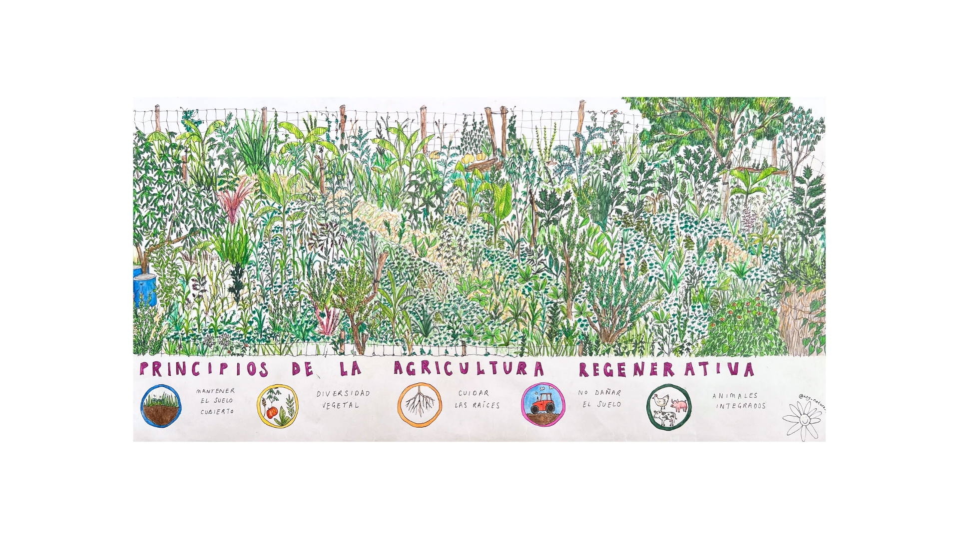 Principles of Agroforestry