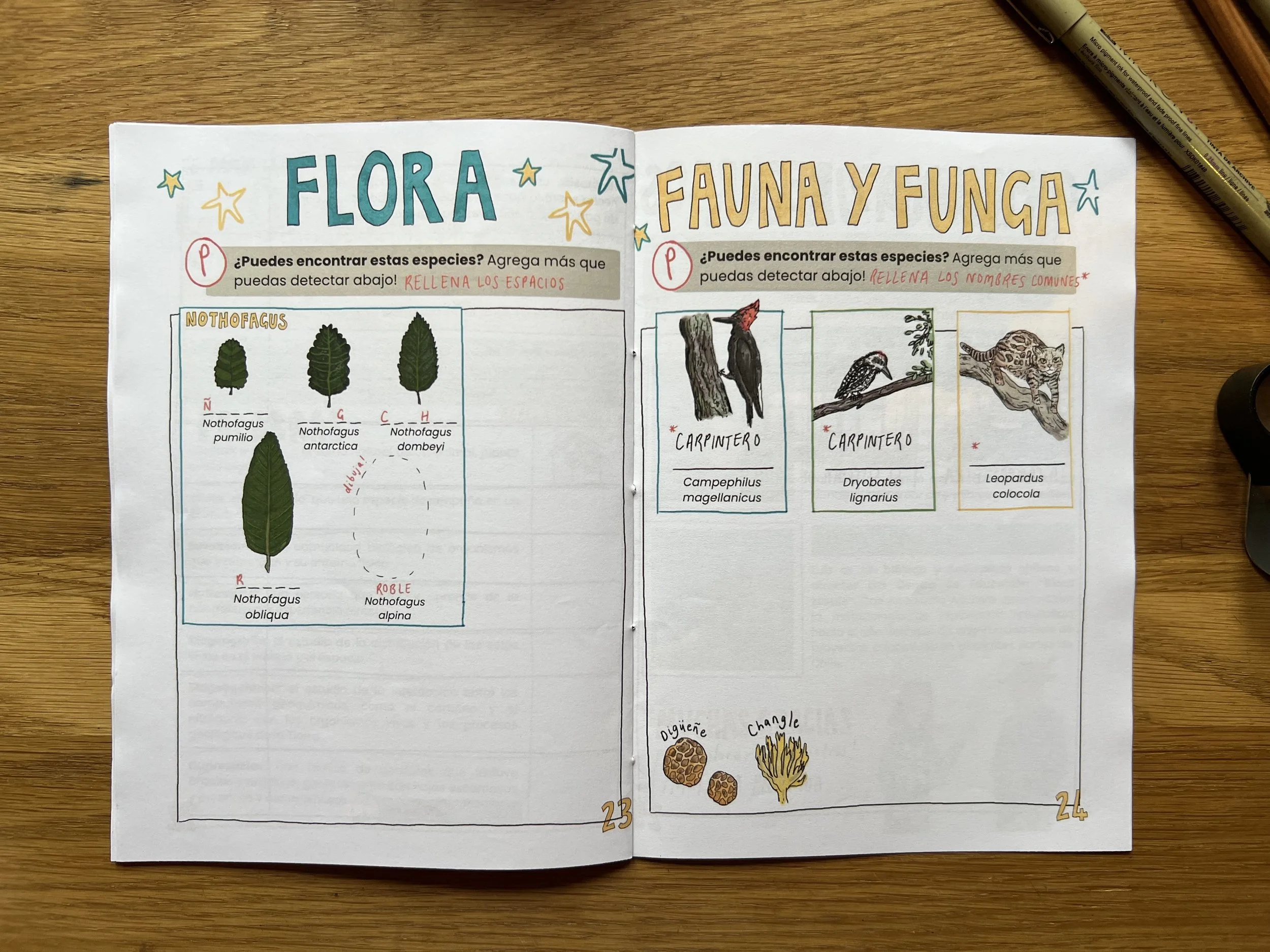 Flora, fauna and funga log book