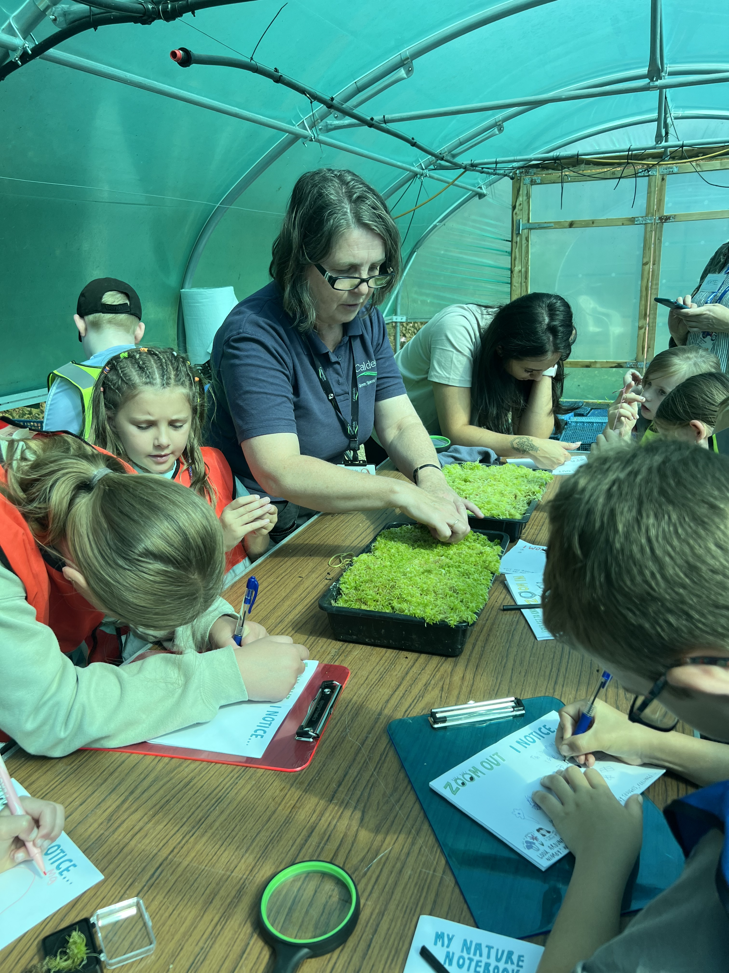 Gill and the Sphagnum moss