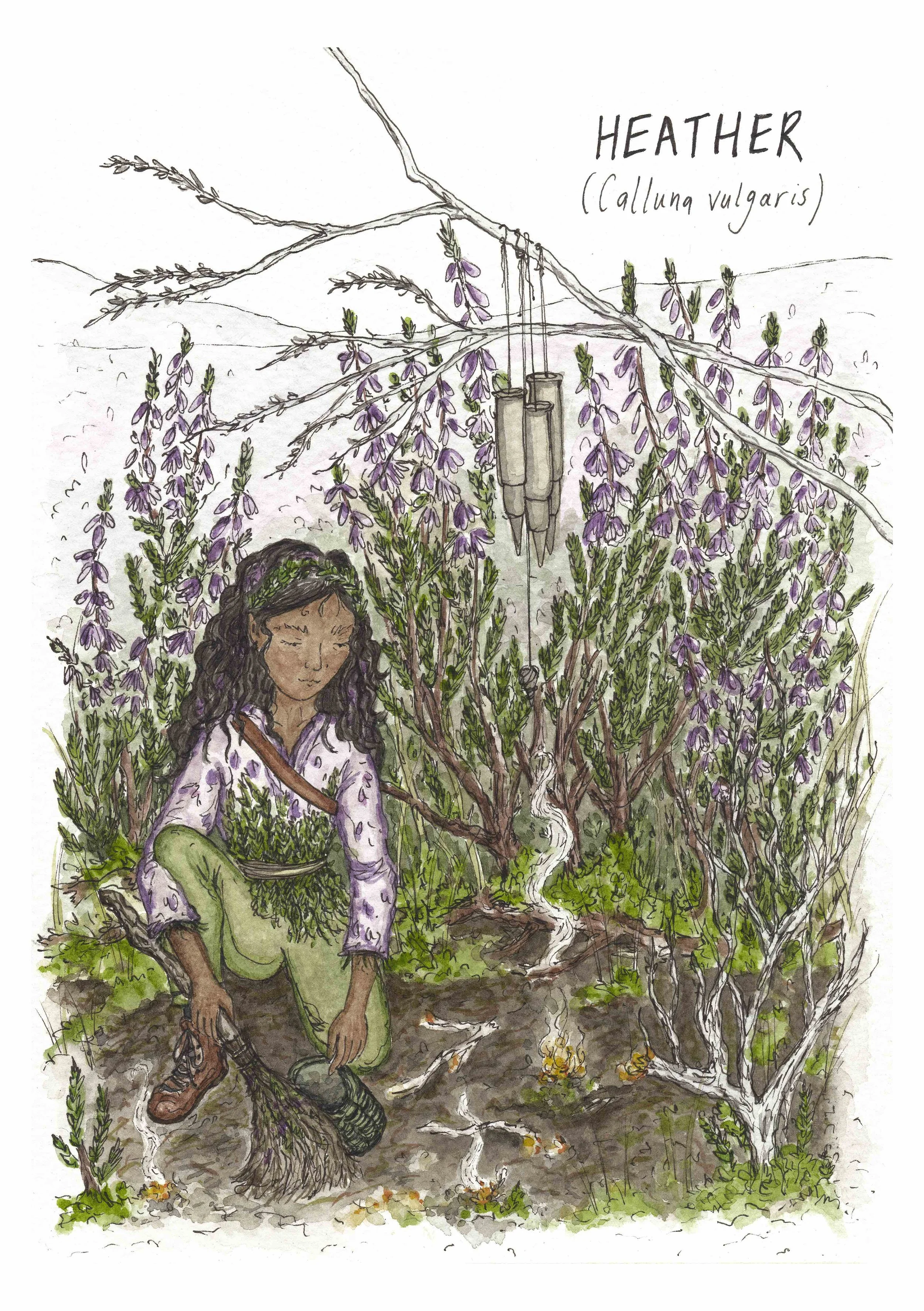 A5 Giclée Print - Heather