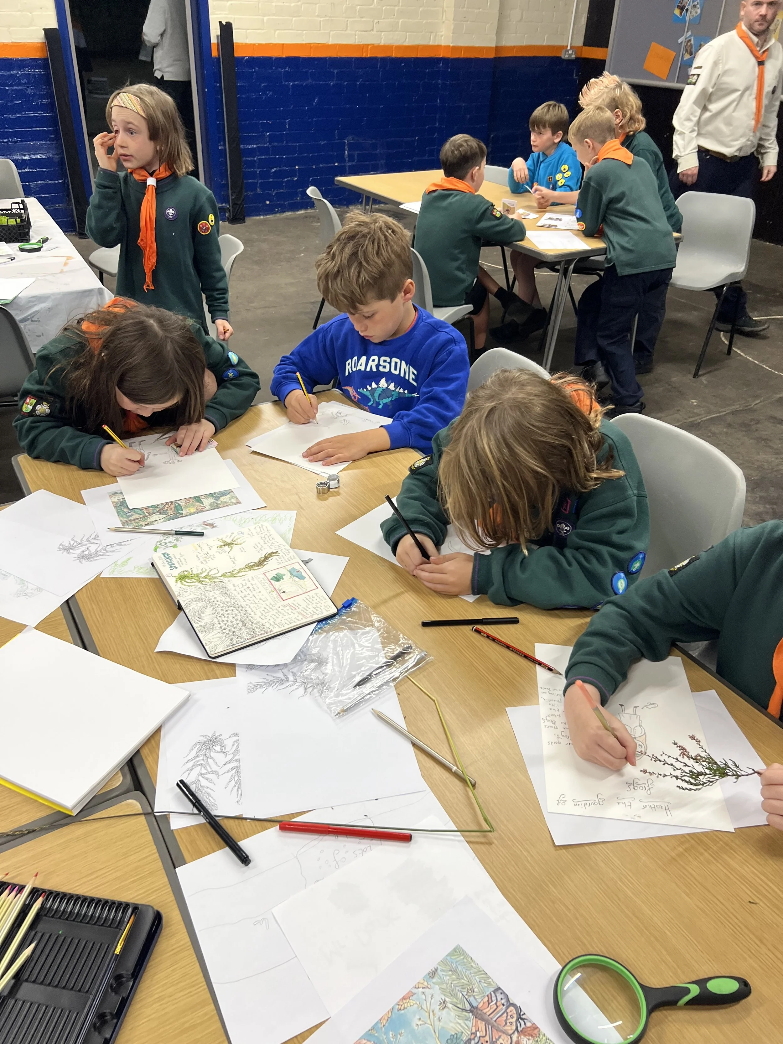 Imagining the Bog Beings