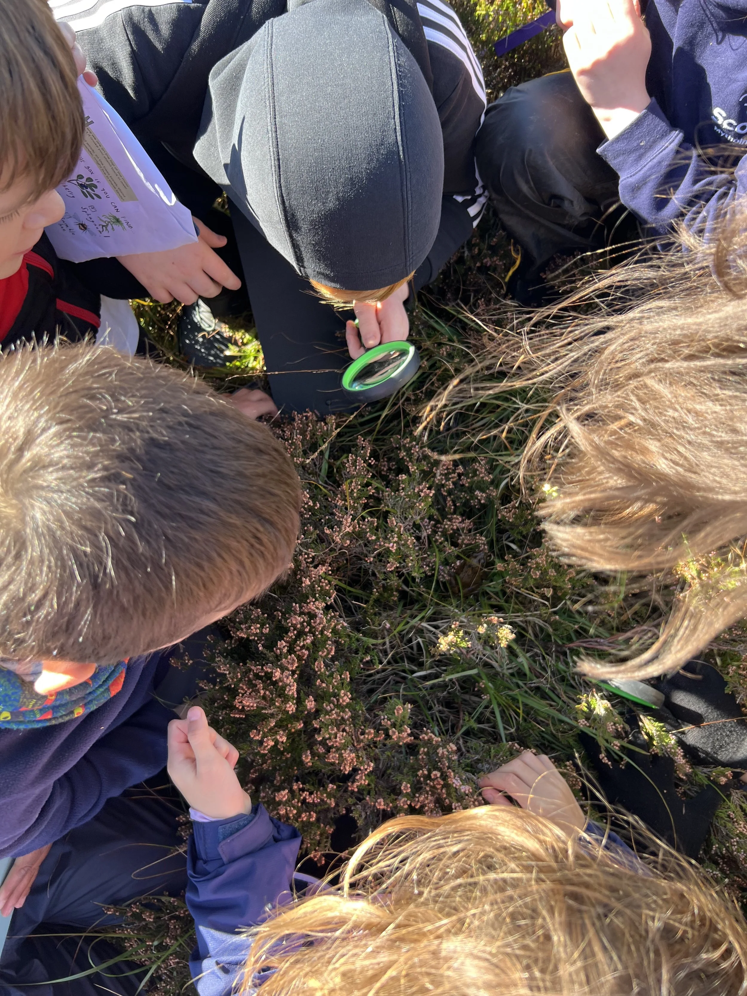 Looking closely at Heather