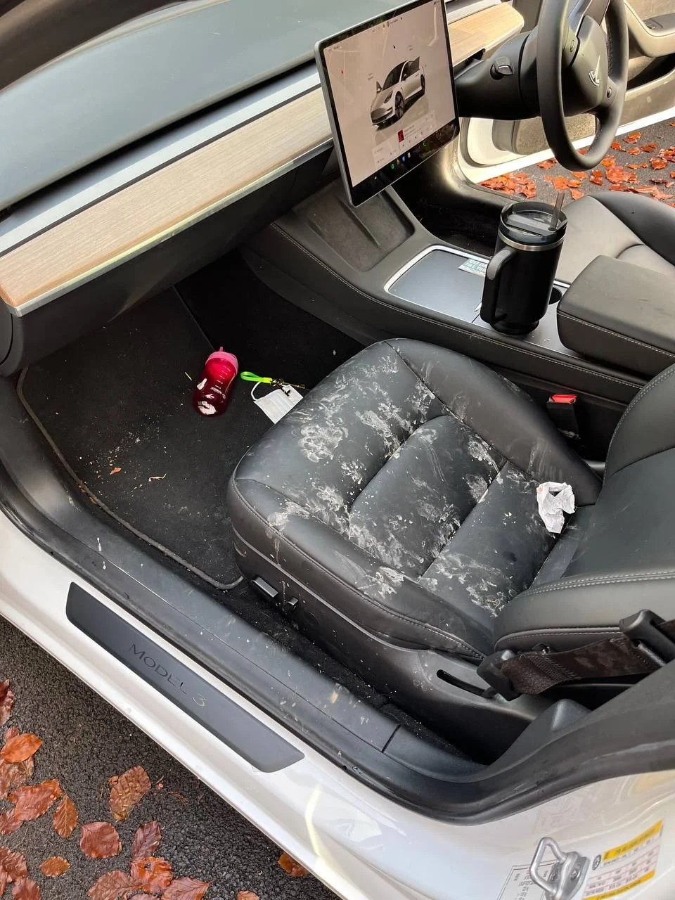 🚗✨ Tesla Model 3 Interior Transformation! ✨🚗
From chaos to clean 
this Tesla got the deep interior reset it deserved!
Swipe to see the difference 👀➡️

Sticky spills, stains, crumbs and everyday mess&hellip; all lifted, cleaned, and restored back t