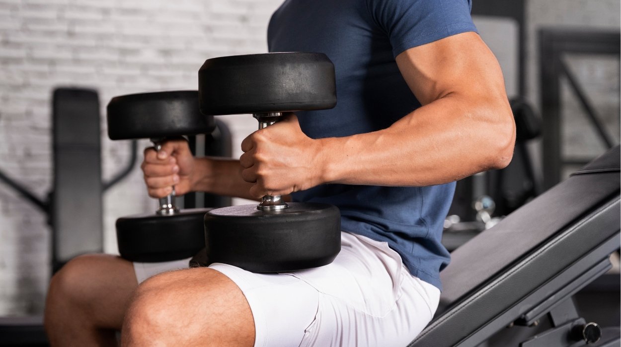 FAST10 MUSCLE GAIN PROGRAM