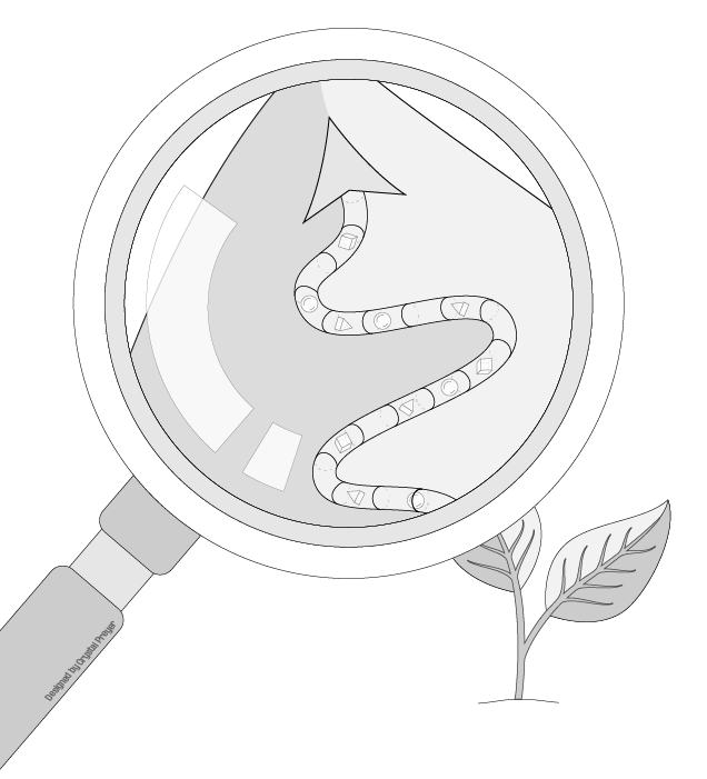 Chapter 15 - SEO for Future Growth