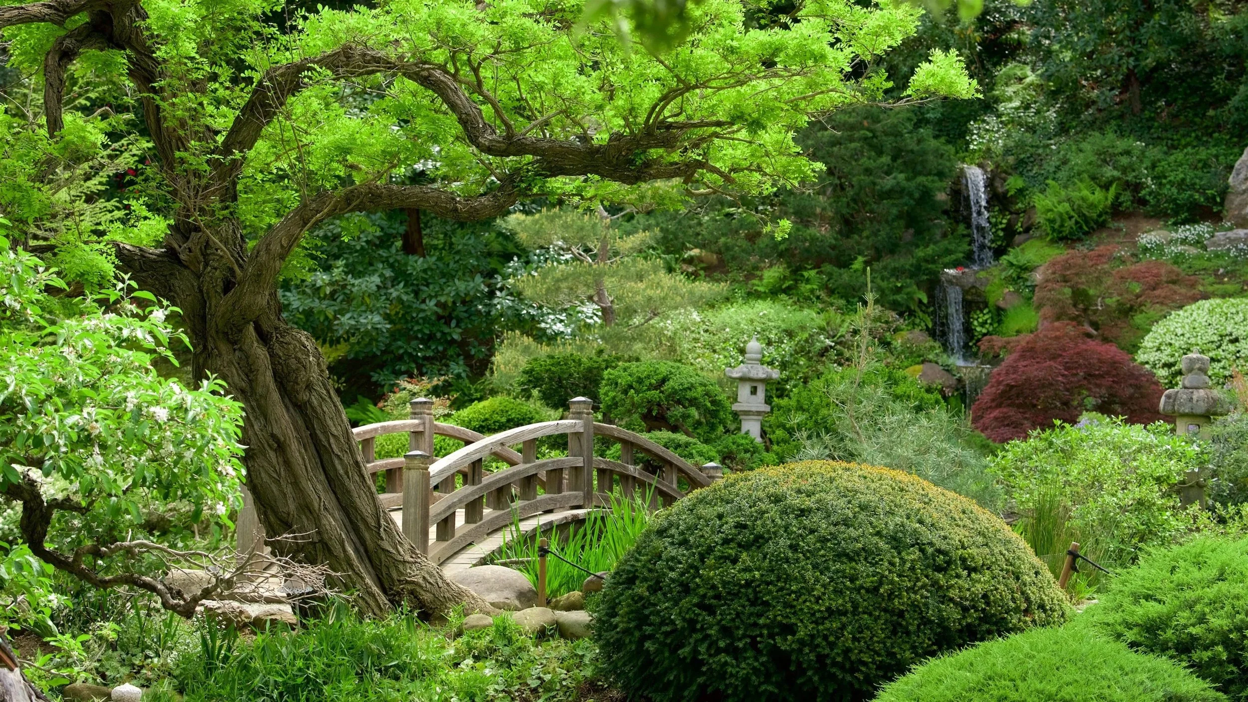 Public Events -Landscaping Design: Cultivating Harmony (5/17/26)