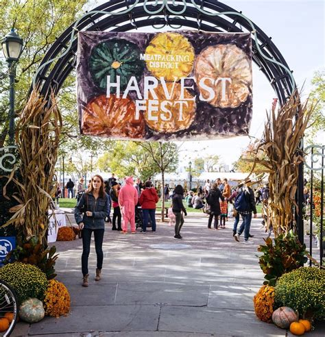 Harvest Fest