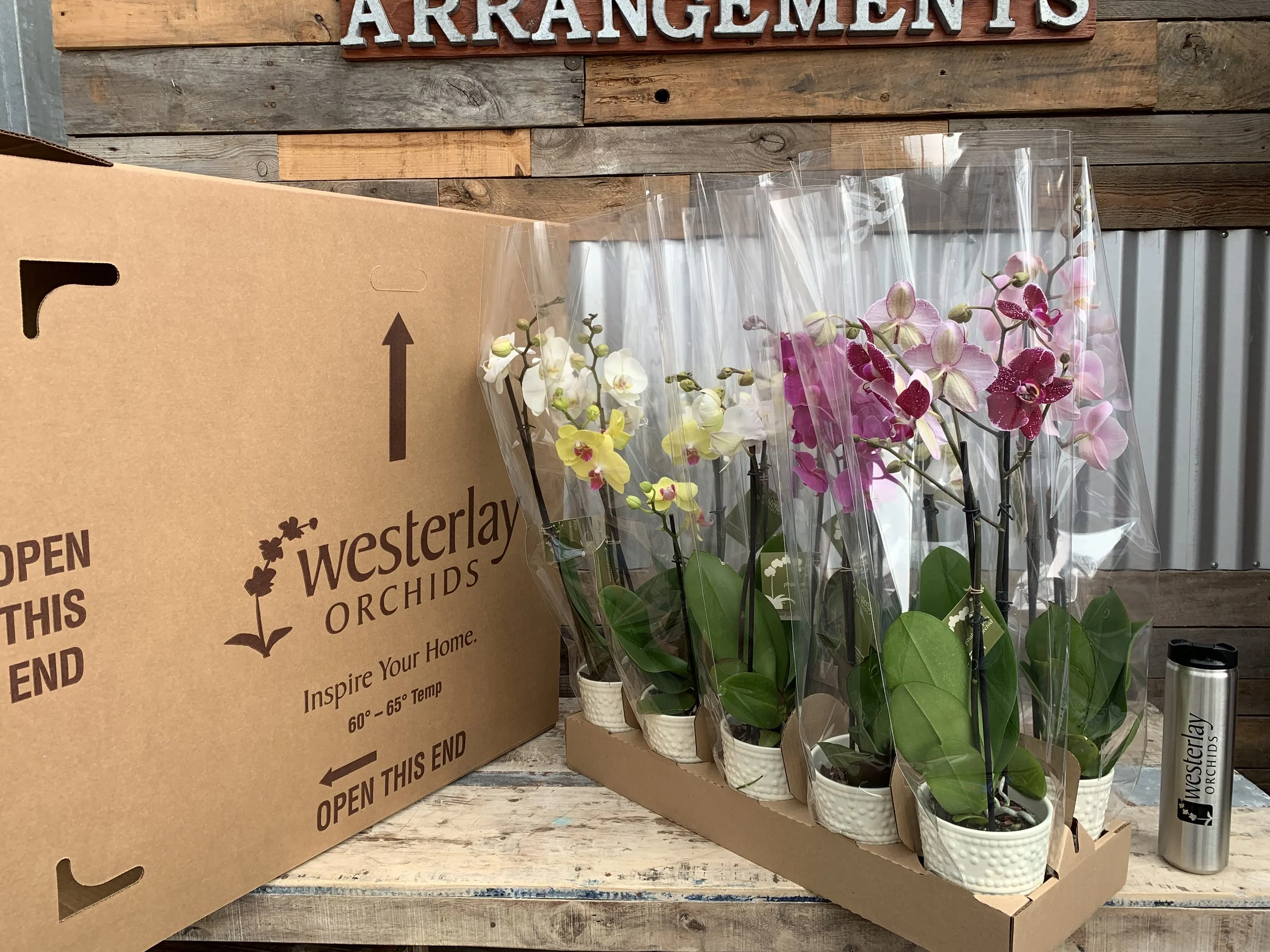 Bringing Farm-Fresh Orchids Directly to You with Our Box of Orchids Program
