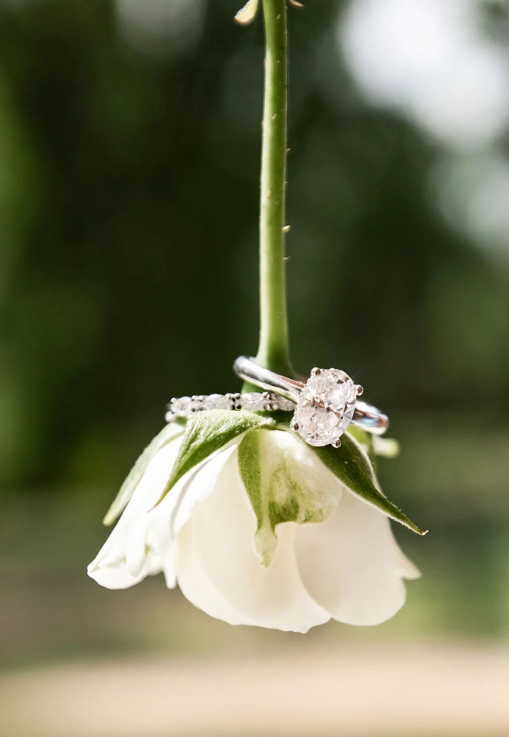 Image credit: Megan White Photography 