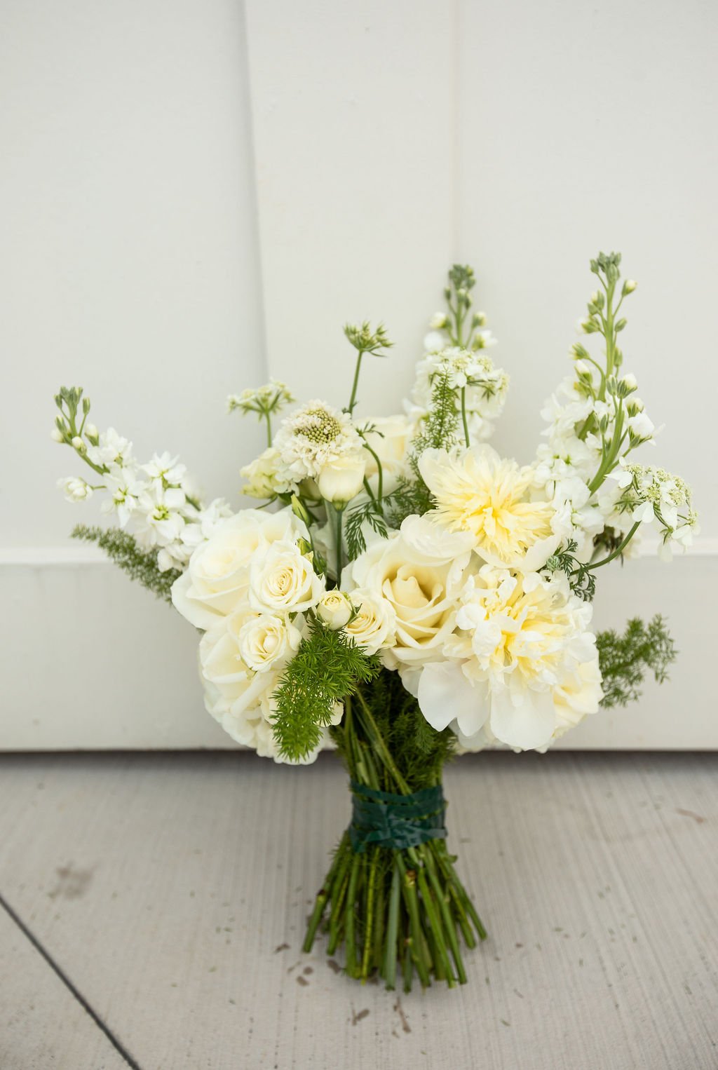 Image credit: Megan White Photography 