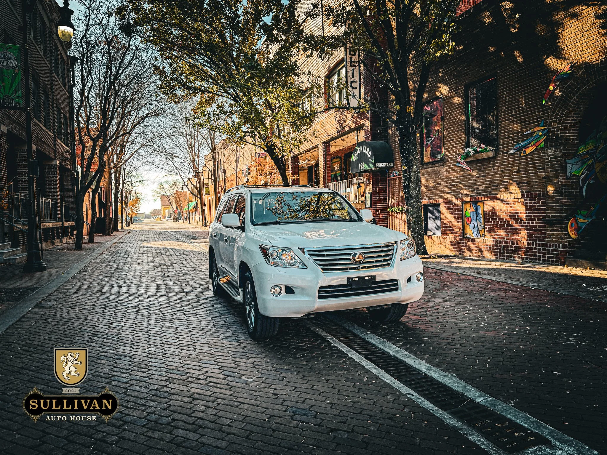 2010 Lexus LX570