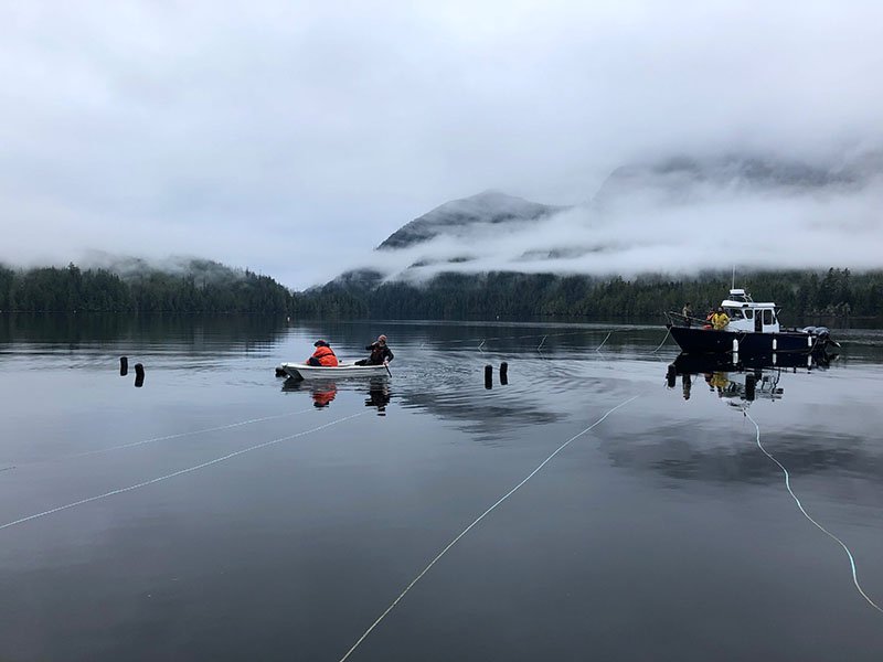Seaweed farmers in Canada (Photo by Cascadia Seaweed)