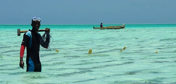Global Seaweed Project Oceans 2050