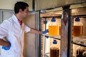 Global Seaweed Project Oceans 2050