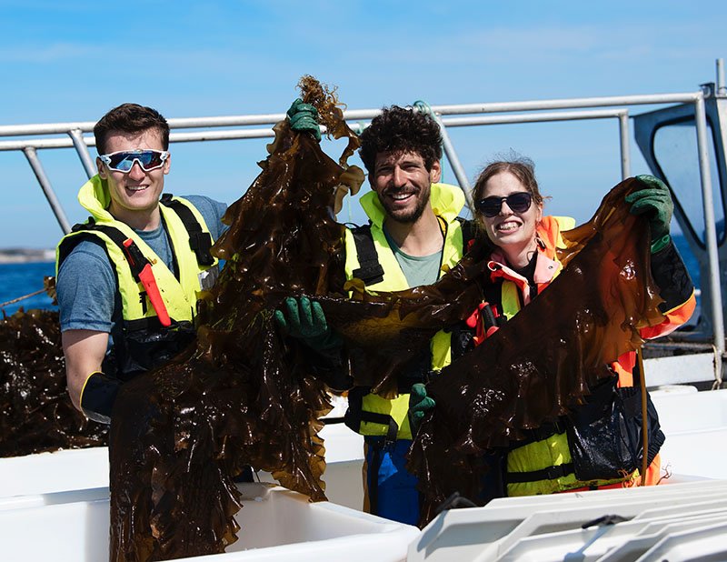 Seaweed farmers in Norway (Photo by Seaweed Solutions)
