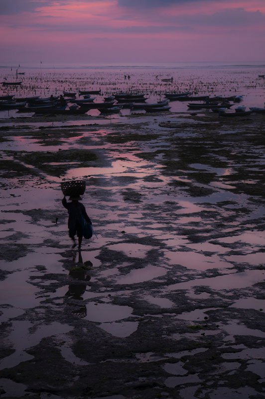 Seaweed farmer in Indonesia (Photo by Carol Da Riva)