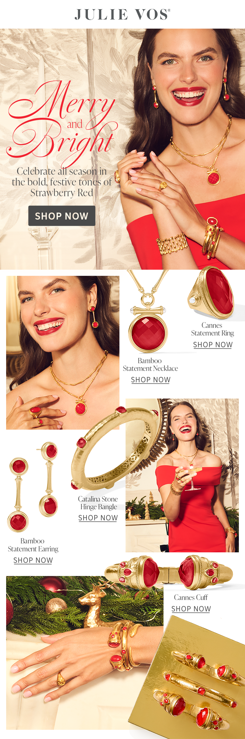 Strawberry_Red_for_Holiday.png