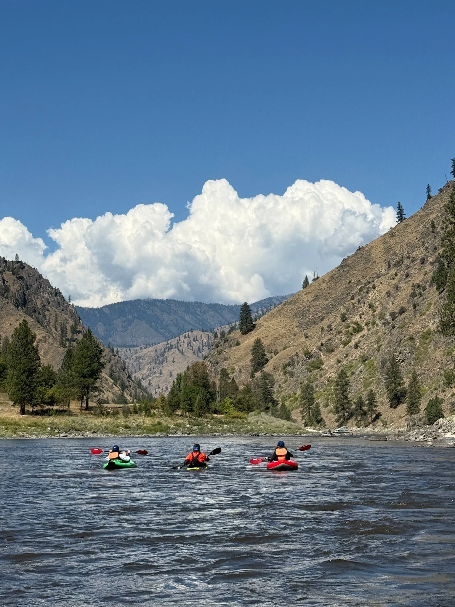 Salmon River Wilderness Adventure
