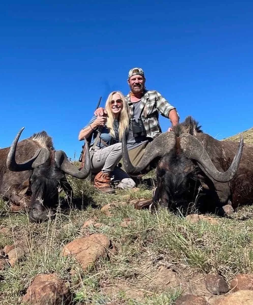 Two people posing with two wildebeests on grass in sunlight.
