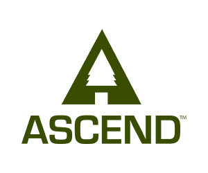 Ascend logo with tree inside a triangle