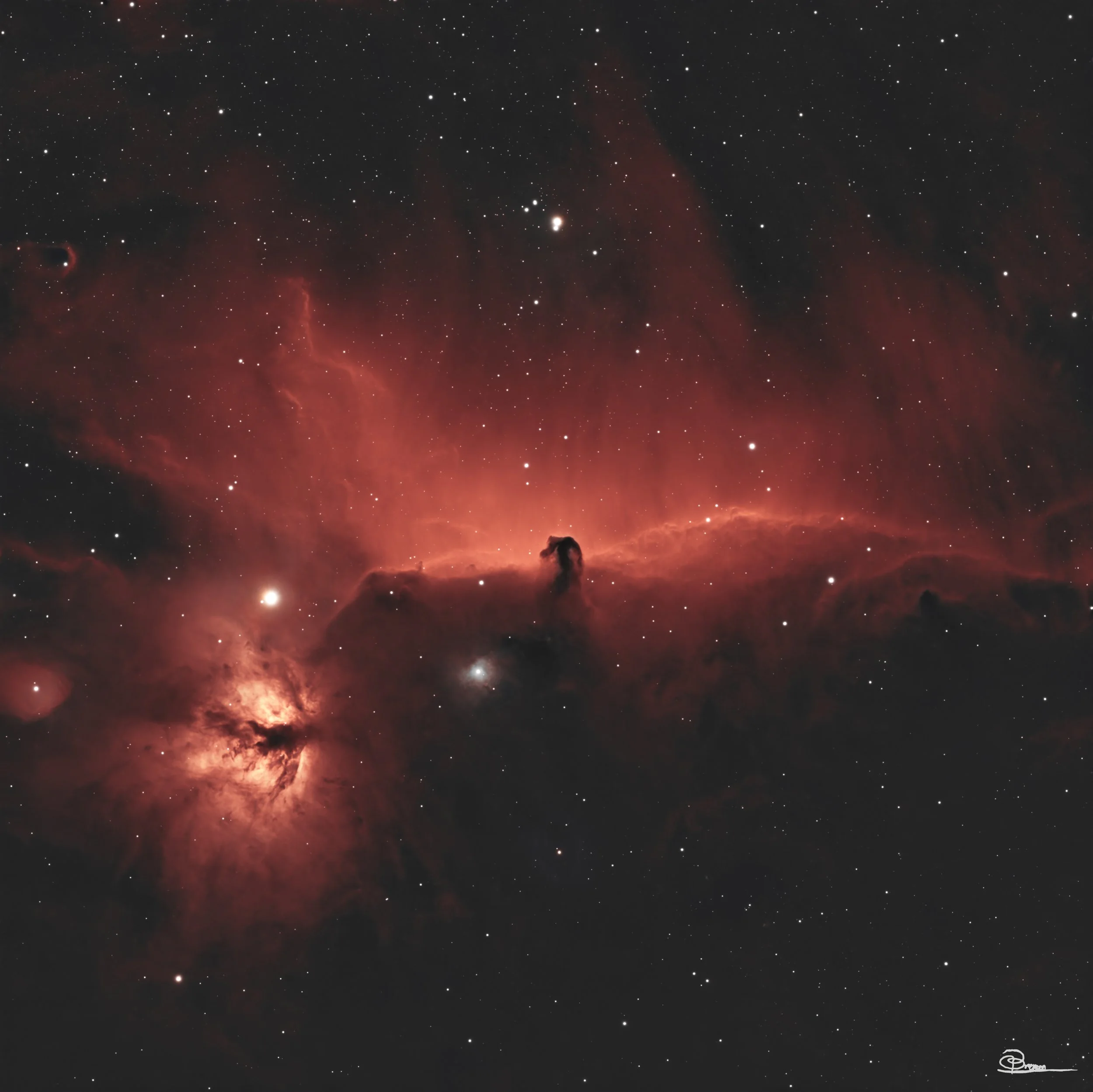 Horsehead and Flame Nebula