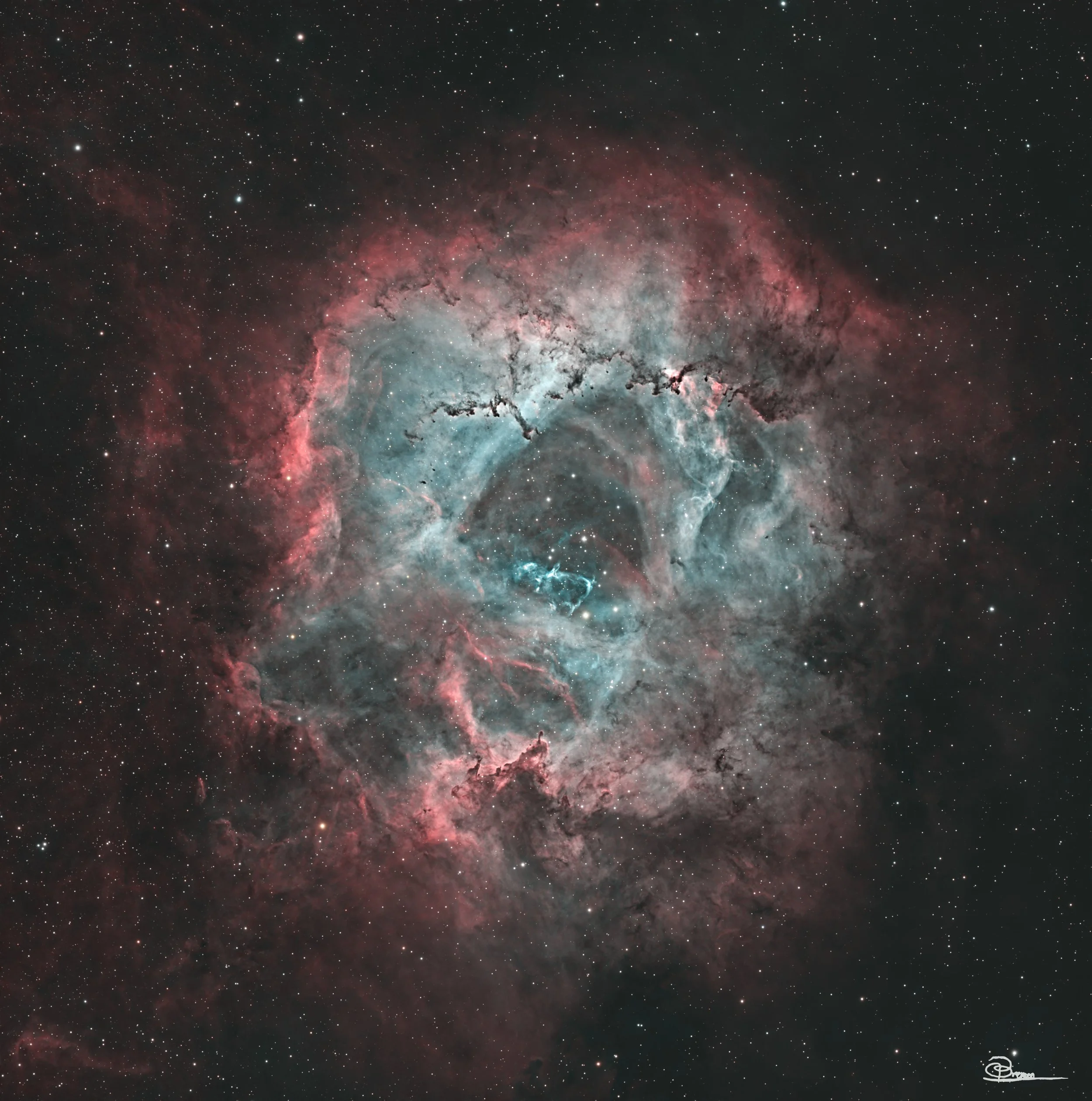 The Rosette Nebula