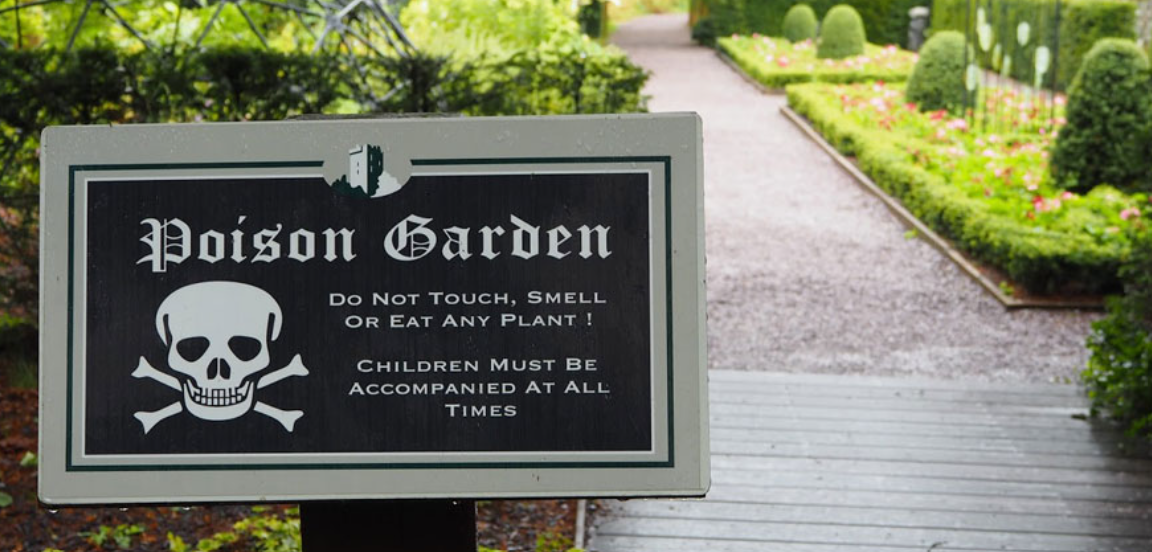 Poison Garden at Blarney Castle, Ireland, home to deadly plants like wolfsbane and mandrake