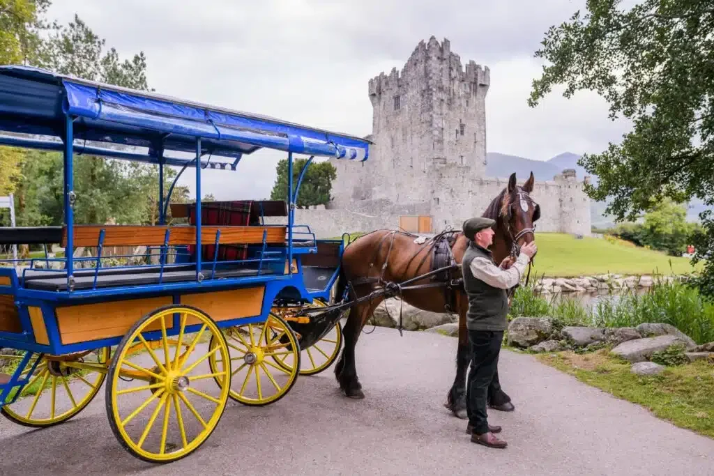 Traditional Irish horse-drawn jaunting car carriage tour in Killarney National Park, Ireland